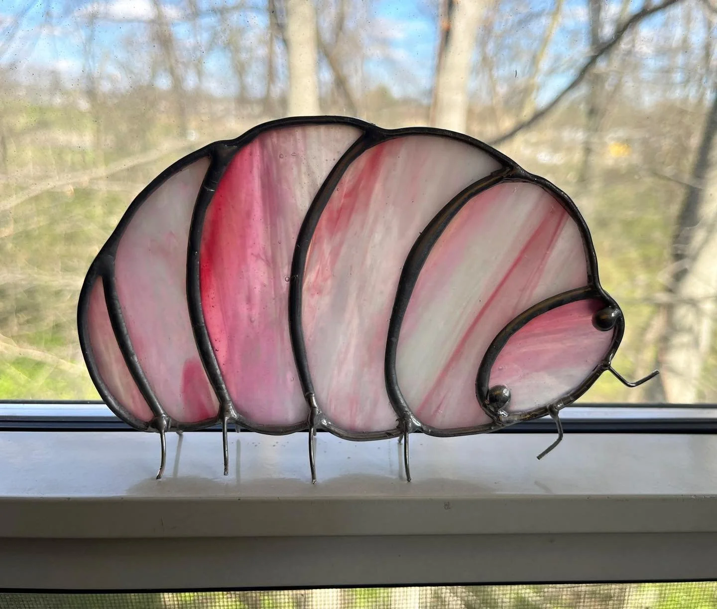 Little rolly-pollies! First of many, I love pill bugs/tomato/potato bugs, whatever they&rsquo;re called 💗

#stainedglass #stainedglassart #stainedglassornaments #stainedglasswindow #art #glassart #glassartist #glassartwork #columbusartist #columbusa