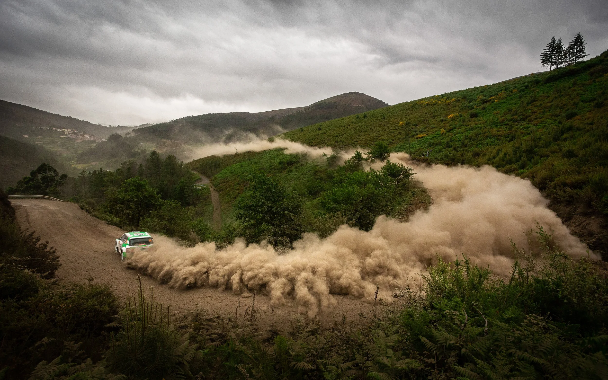 CARS - @helderophoto -66.jpg