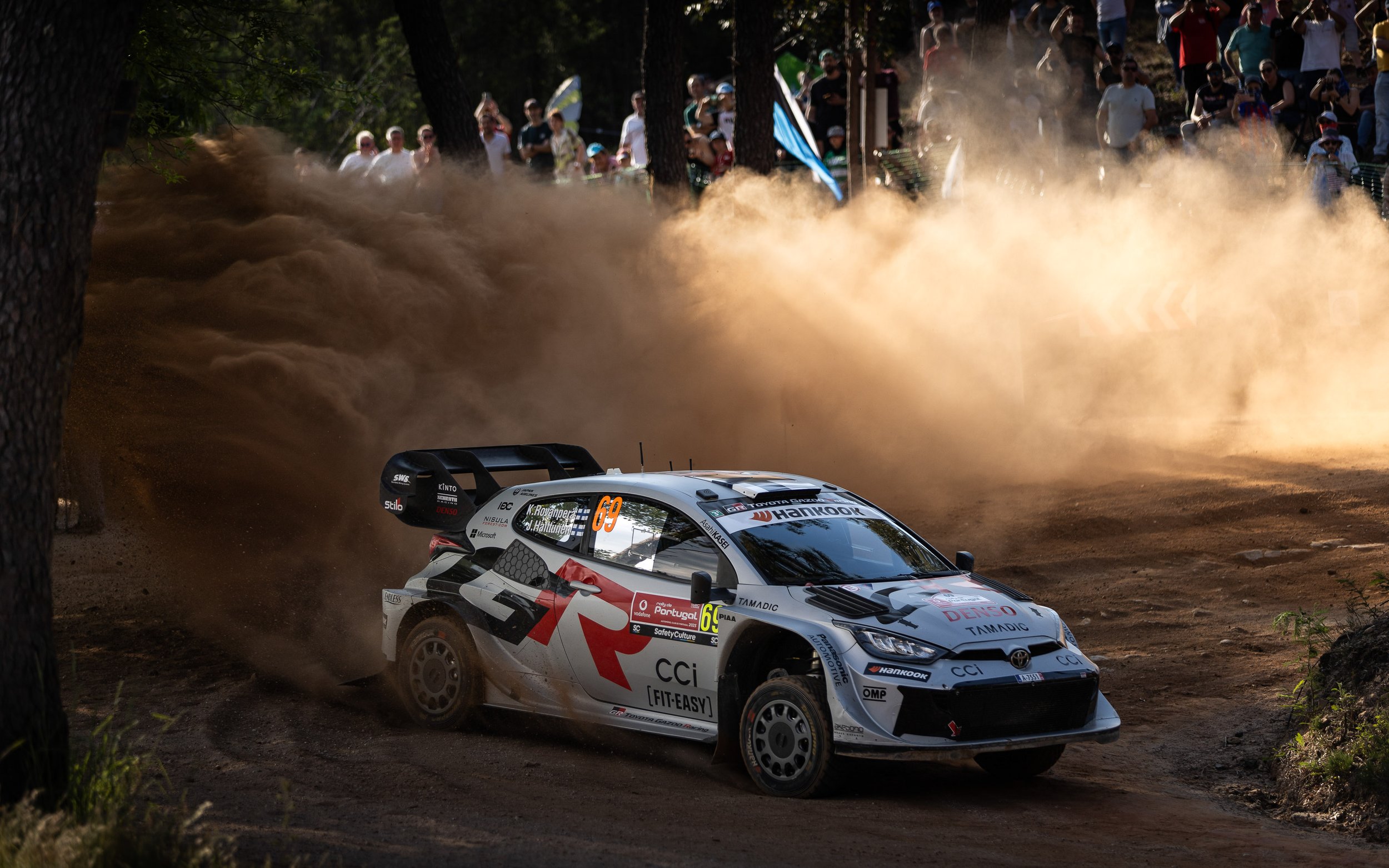 CARS - @helderophoto -20.jpg