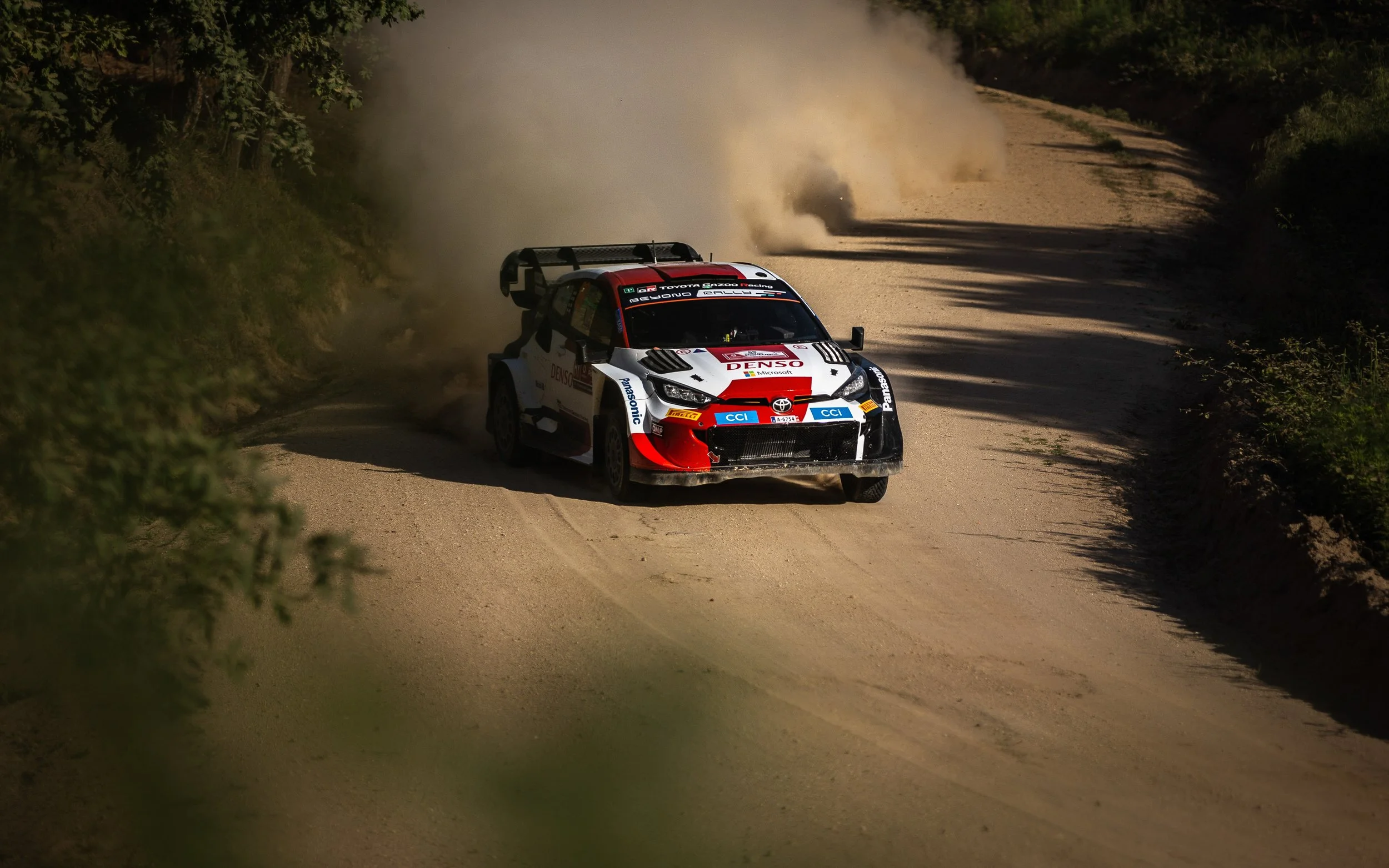 CARS - @helderophoto -59.jpg