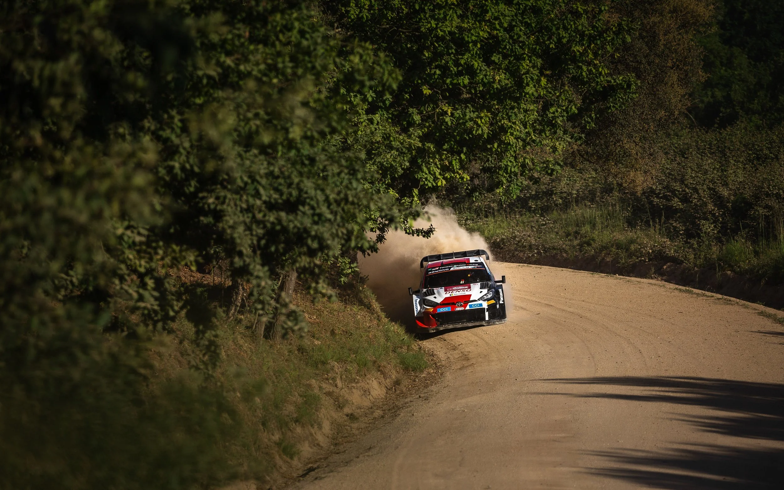 CARS - @helderophoto -60.jpg