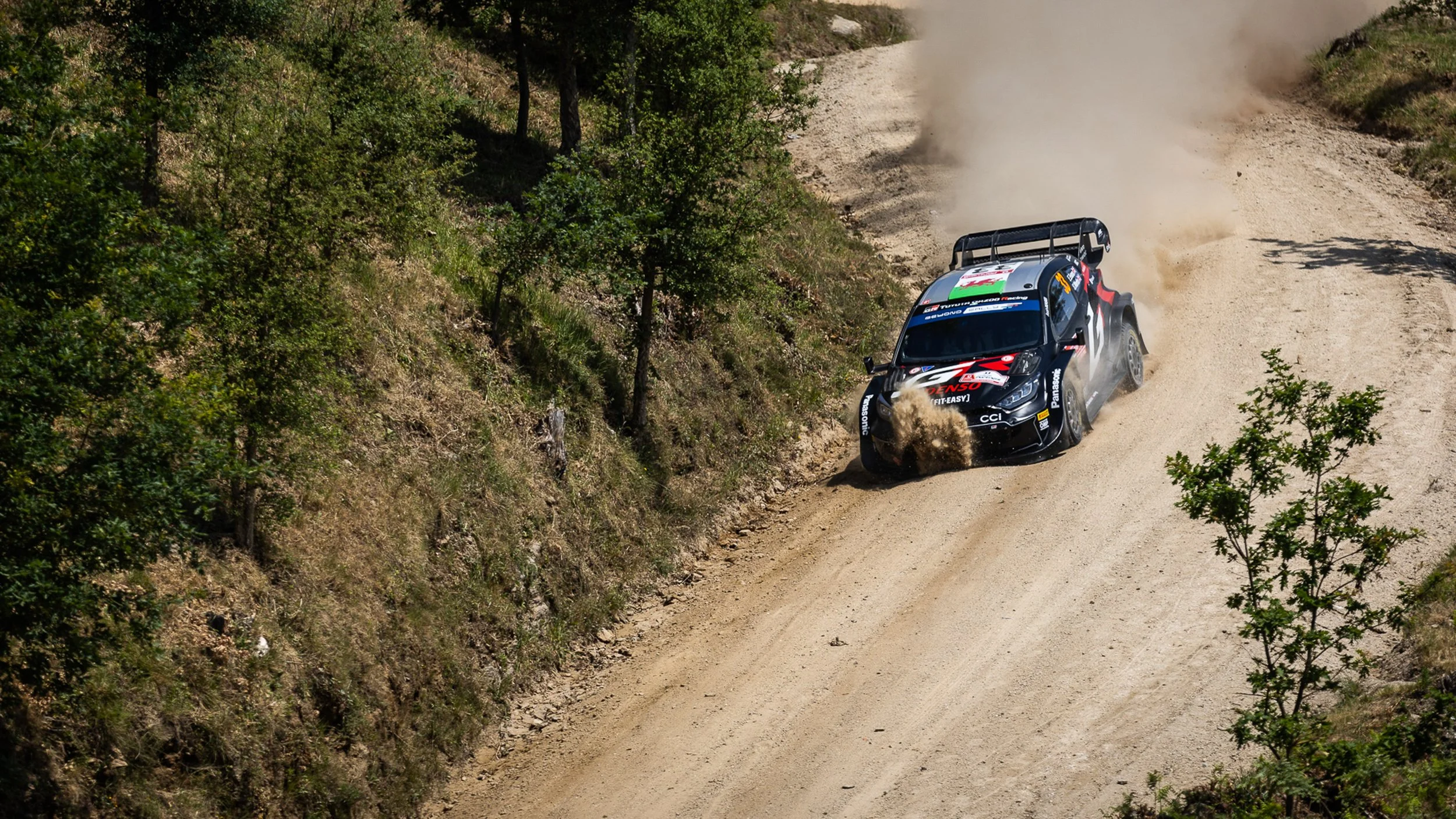 CARS - @helderophoto -40.jpg