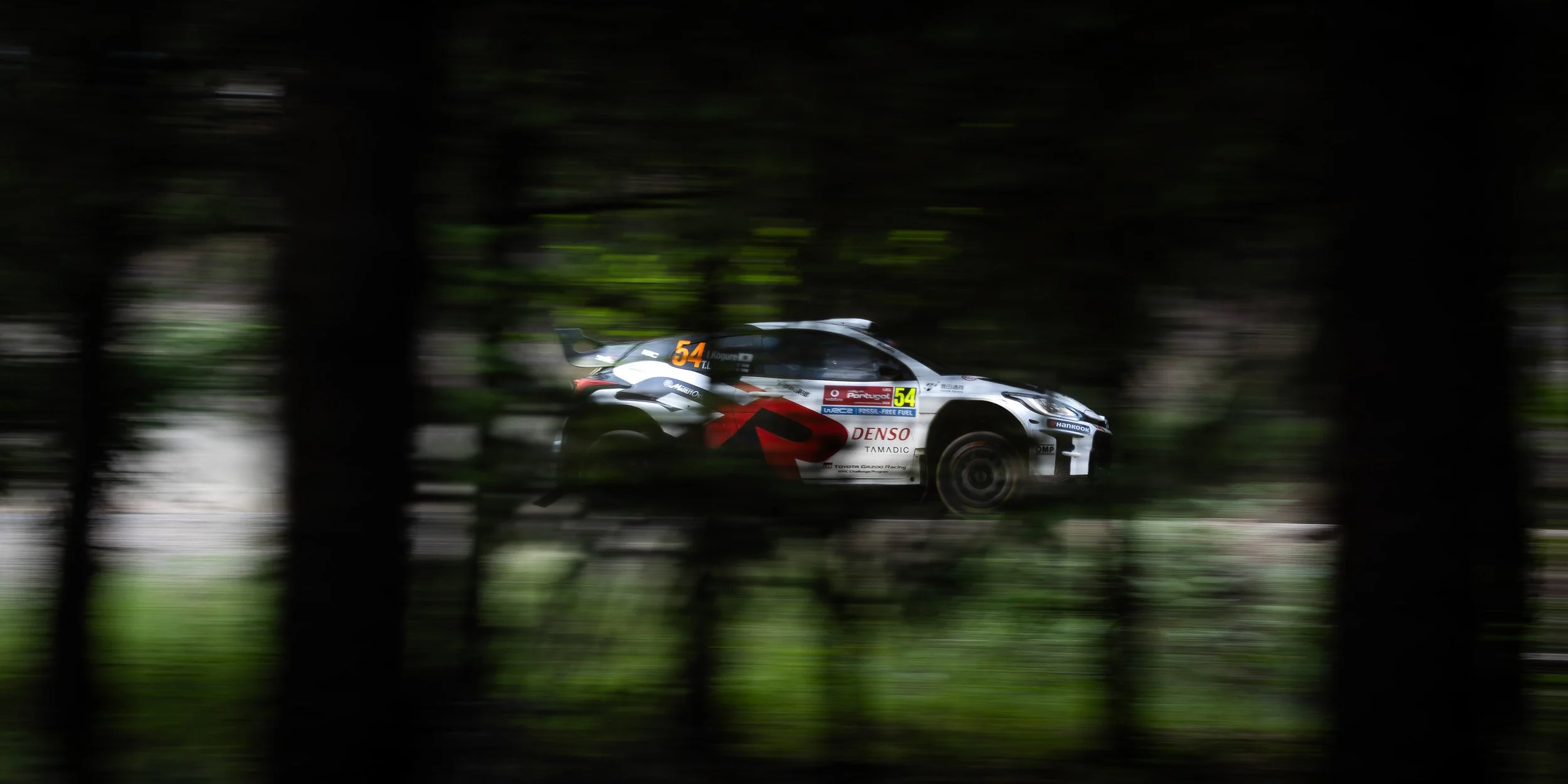 CARS - @helderophoto -16.jpg
