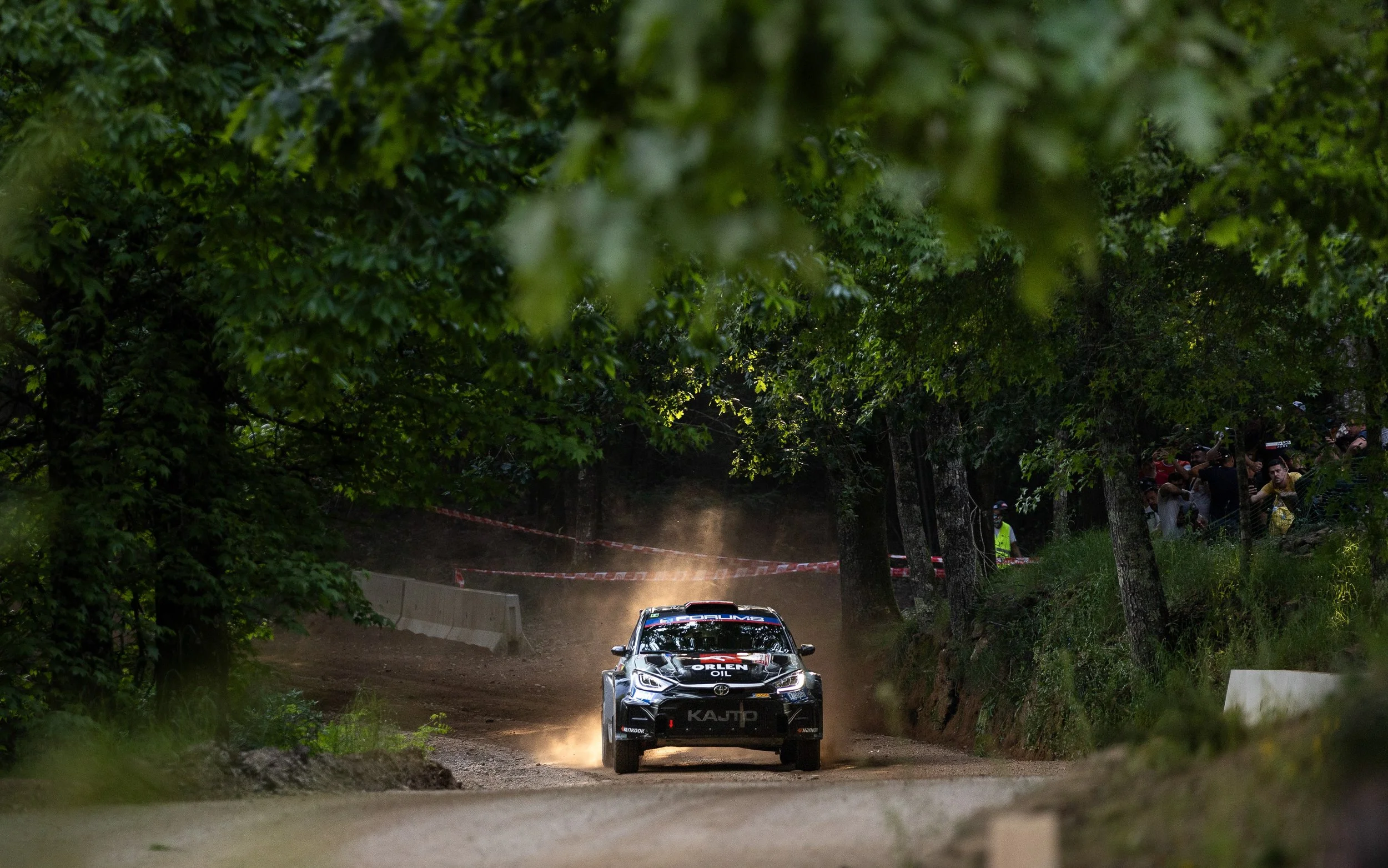 CARS - @helderophoto -18.jpg