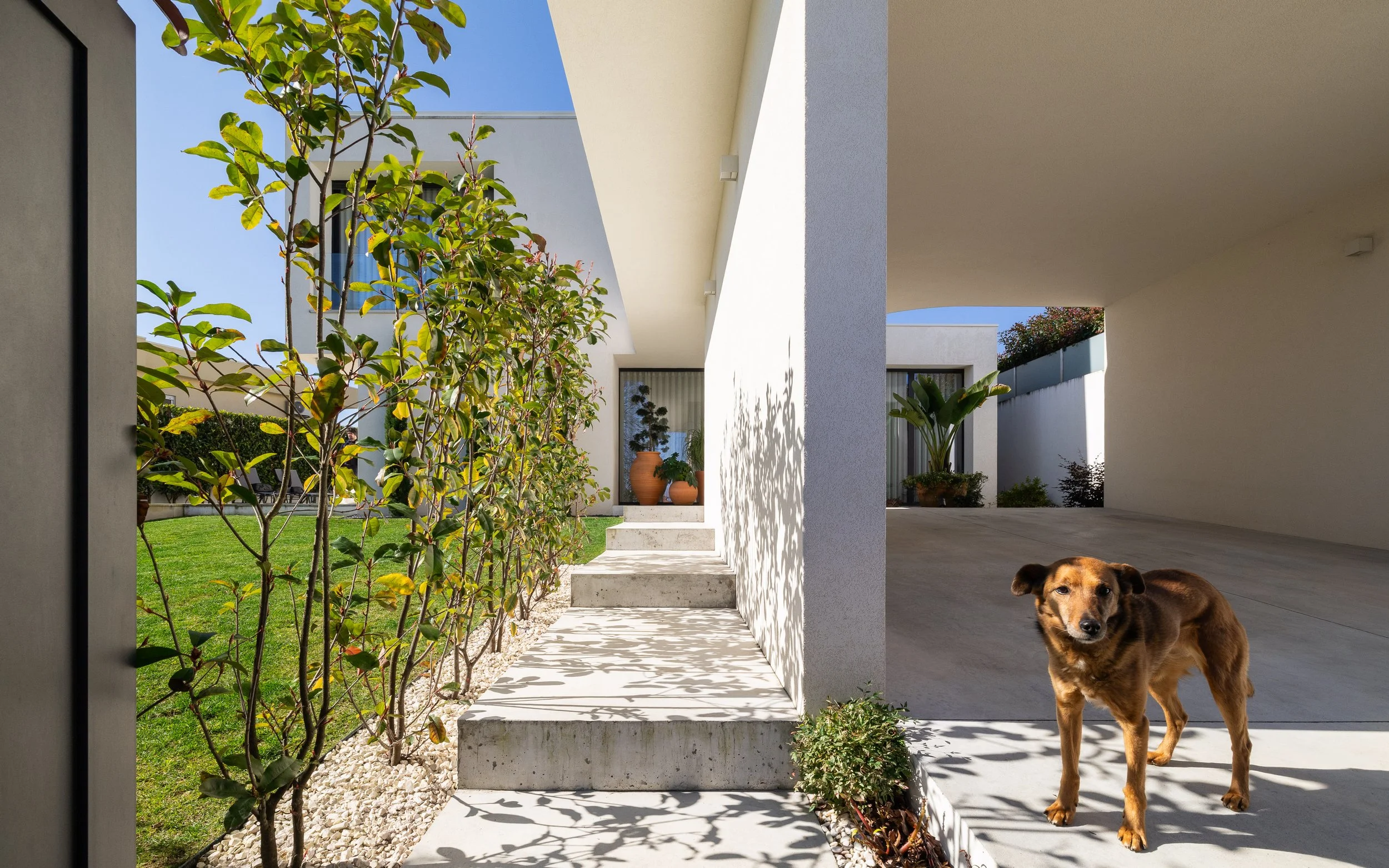 CASA DELAES - @helderophoto -2.jpg