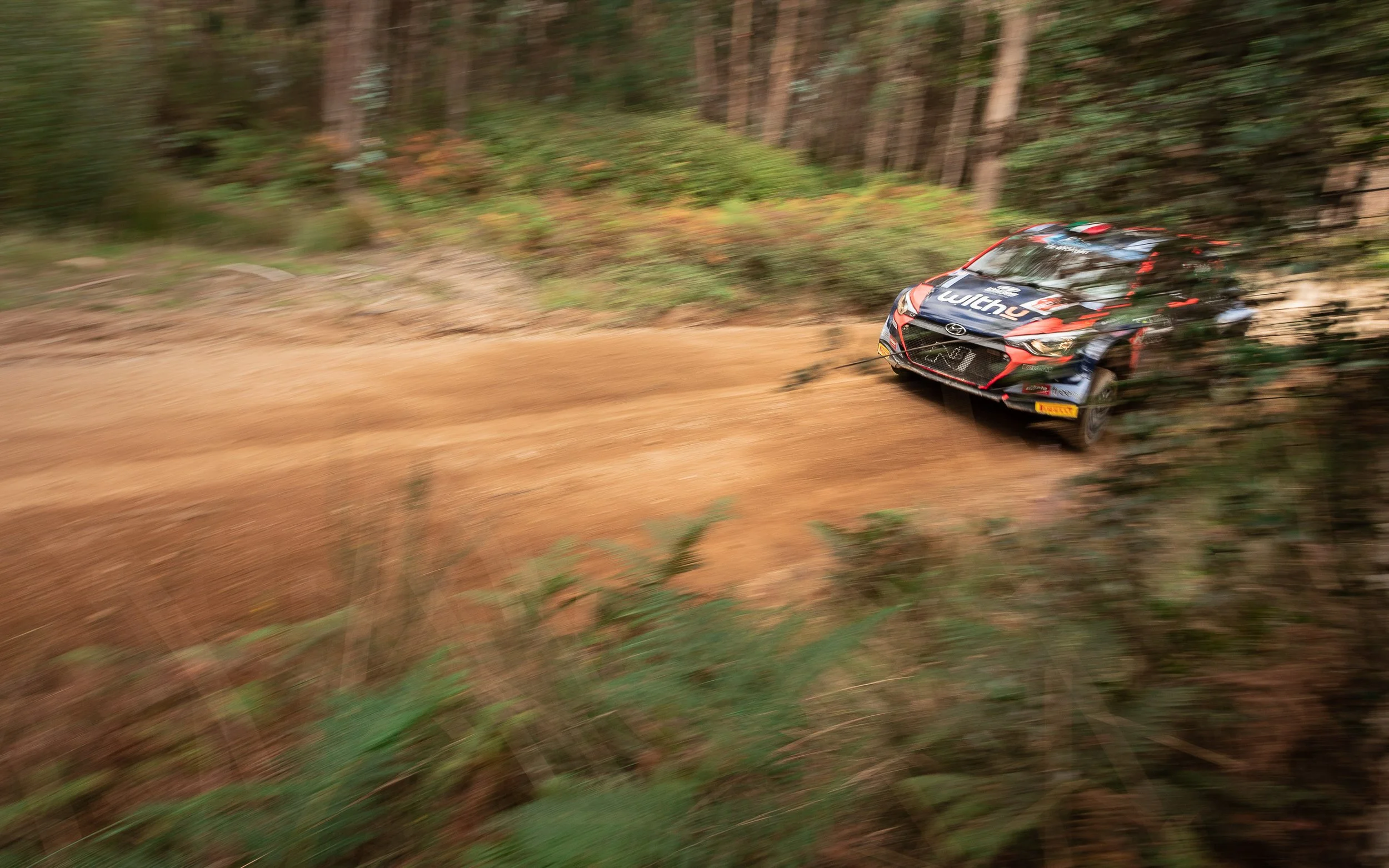 CARS - @helderophoto -69.jpg