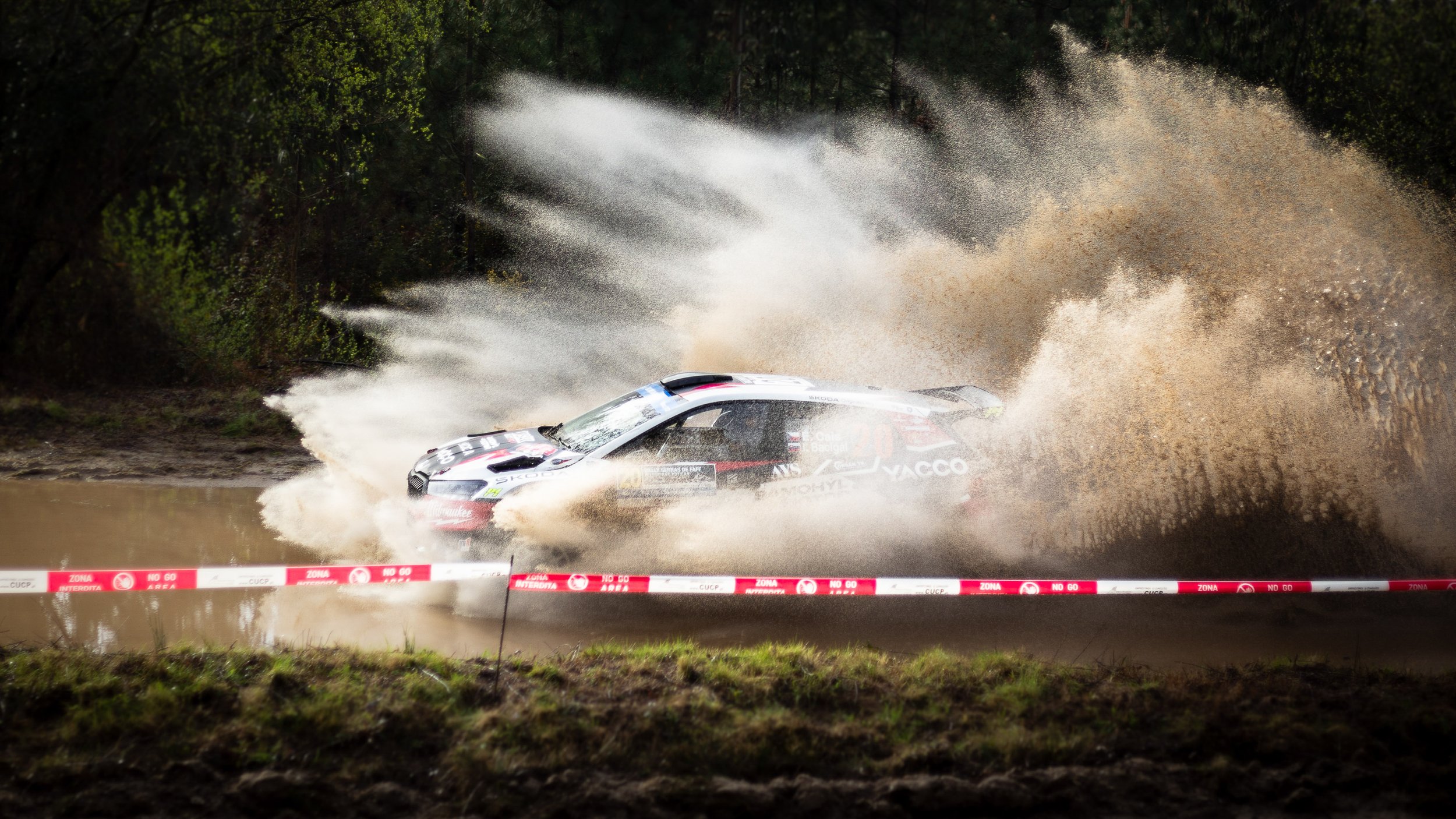 CARS - @helderophoto -65.jpg