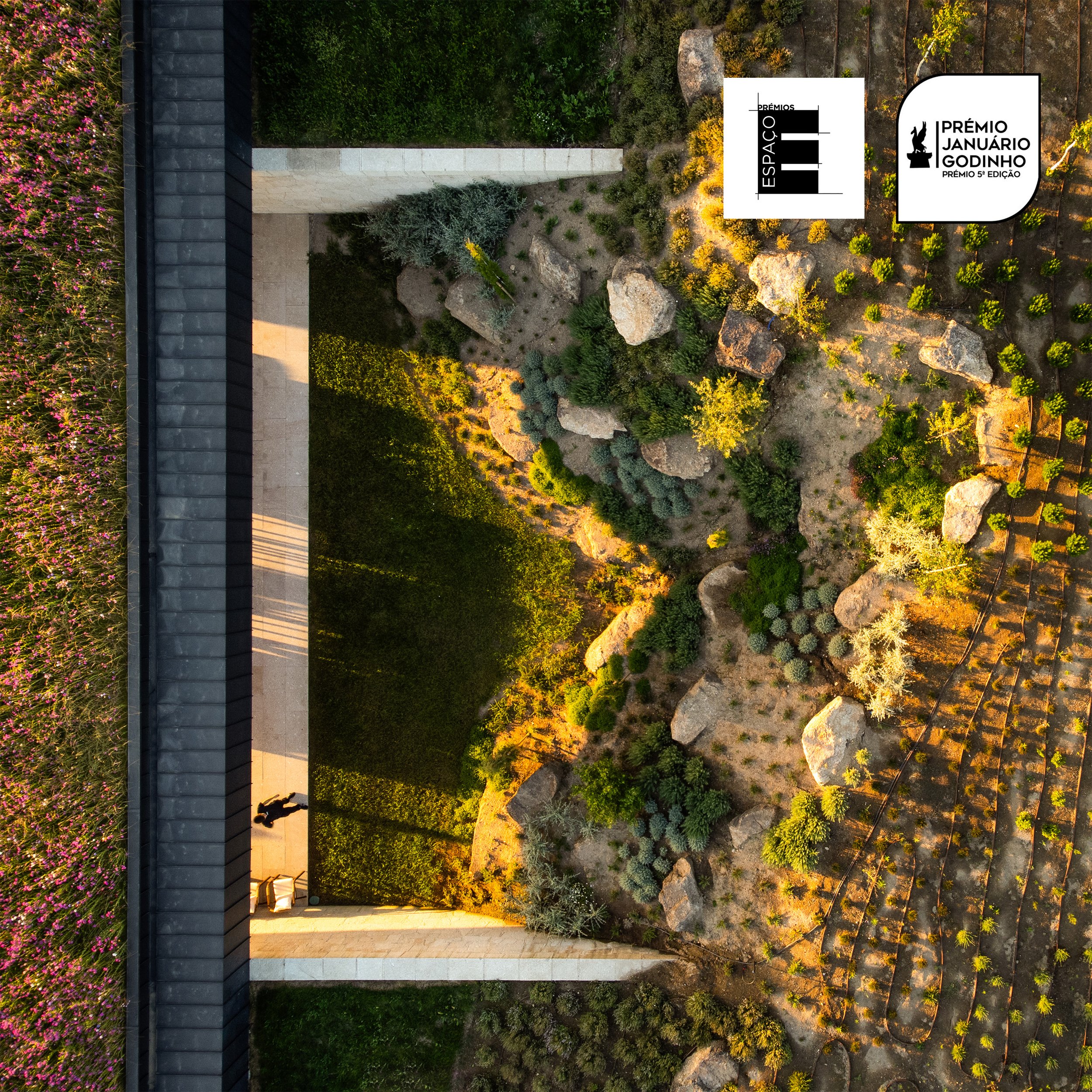 @helderophoto -8.jpg