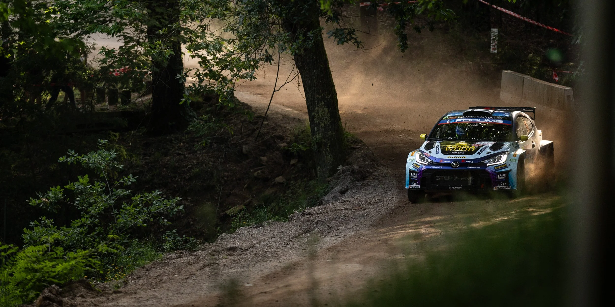 CARS - @helderophoto -19.jpg