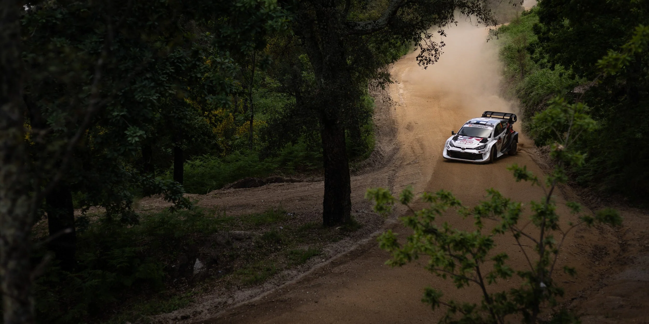 CARS - @helderophoto -14.jpg