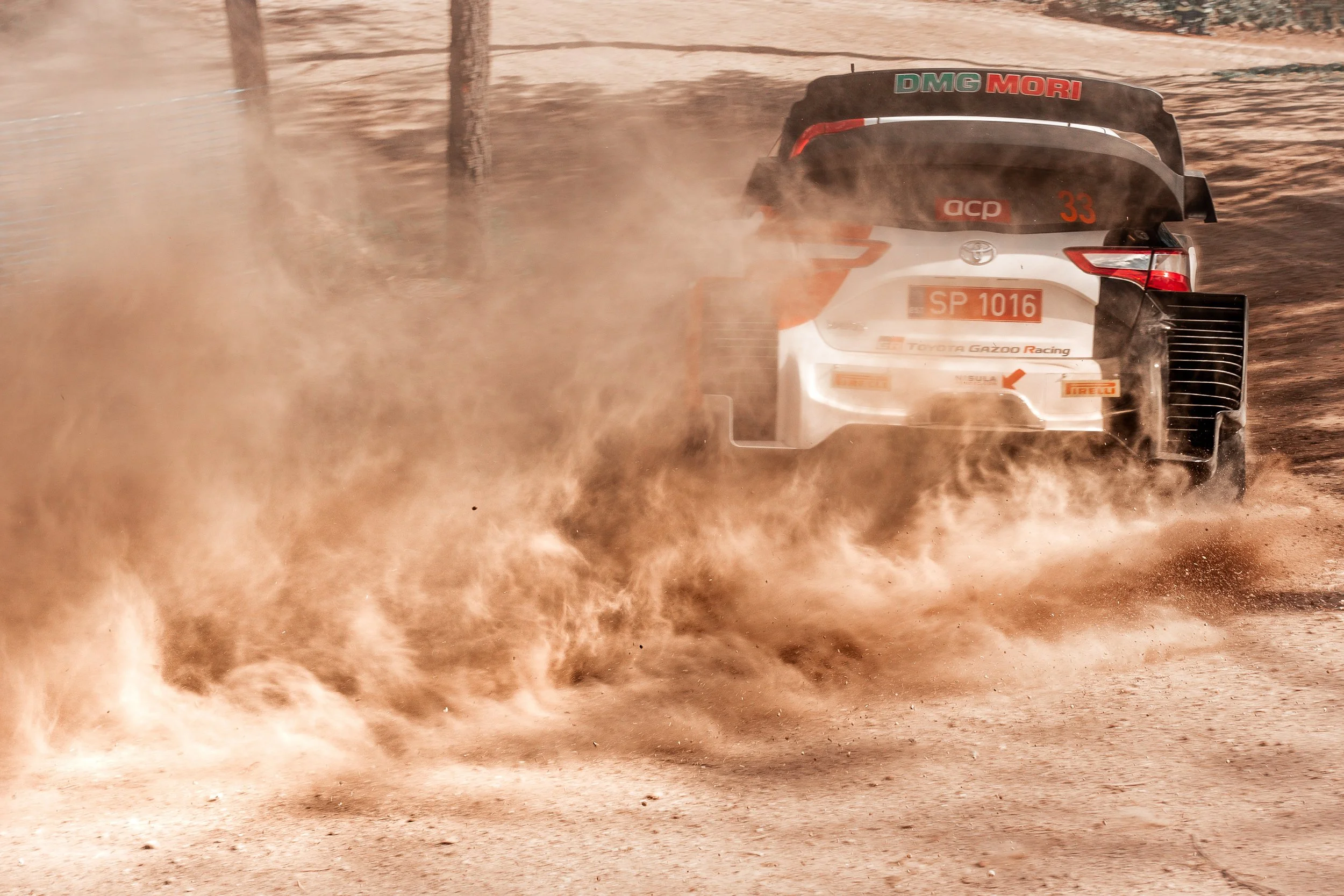 CARS - @helderophoto -70.jpg