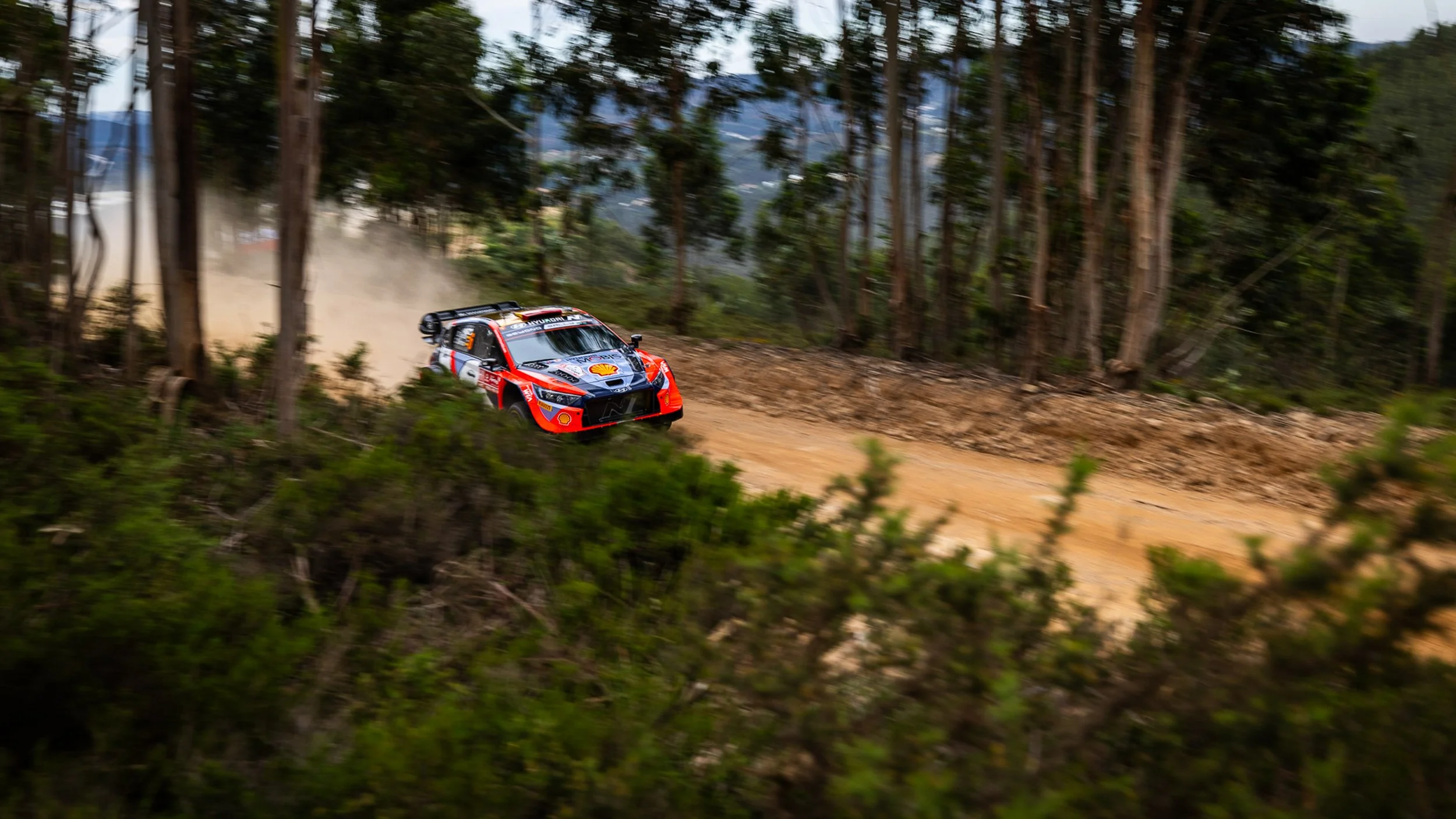 CARS - @helderophoto -41.jpg