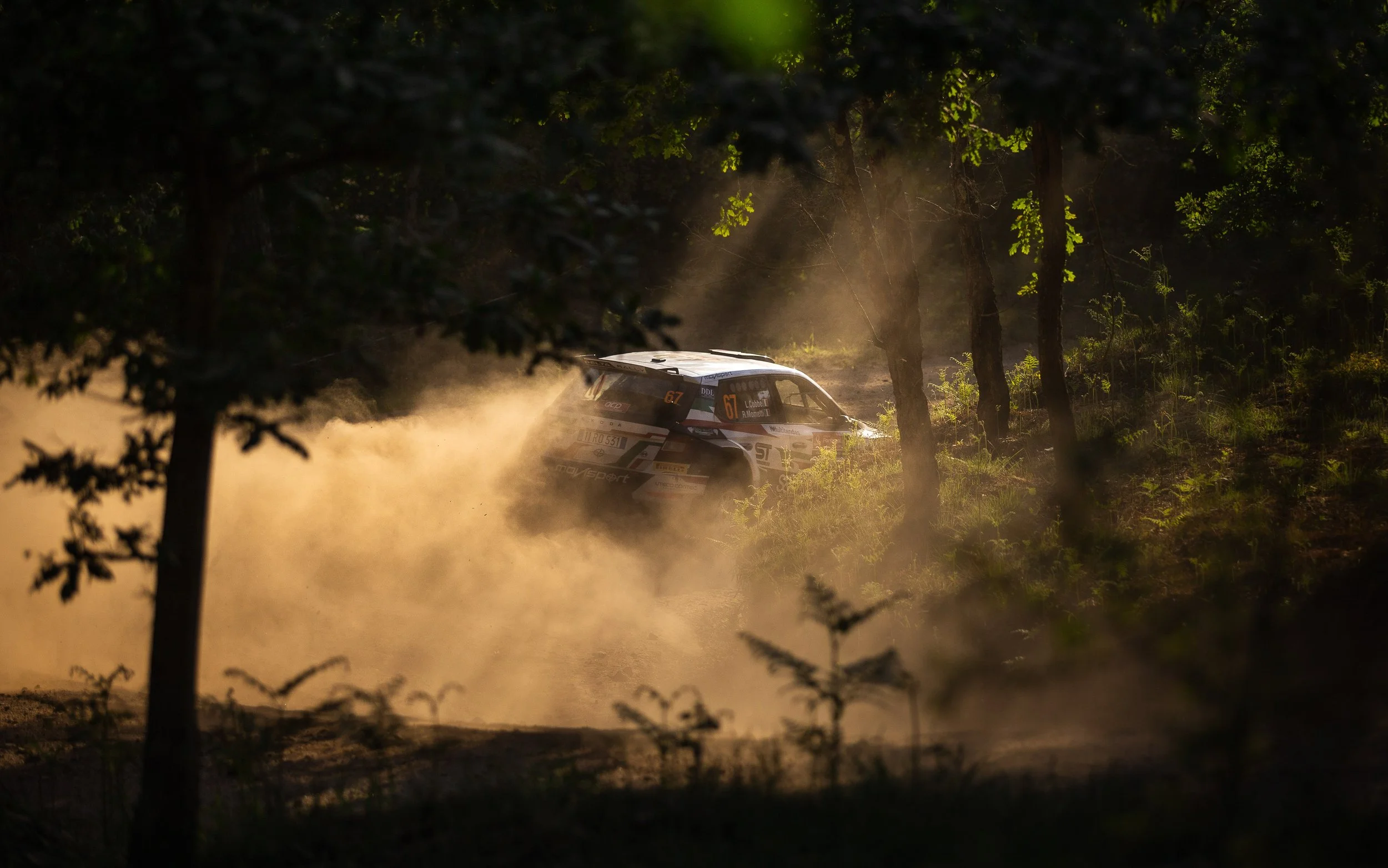 CARS - @helderophoto -55.jpg