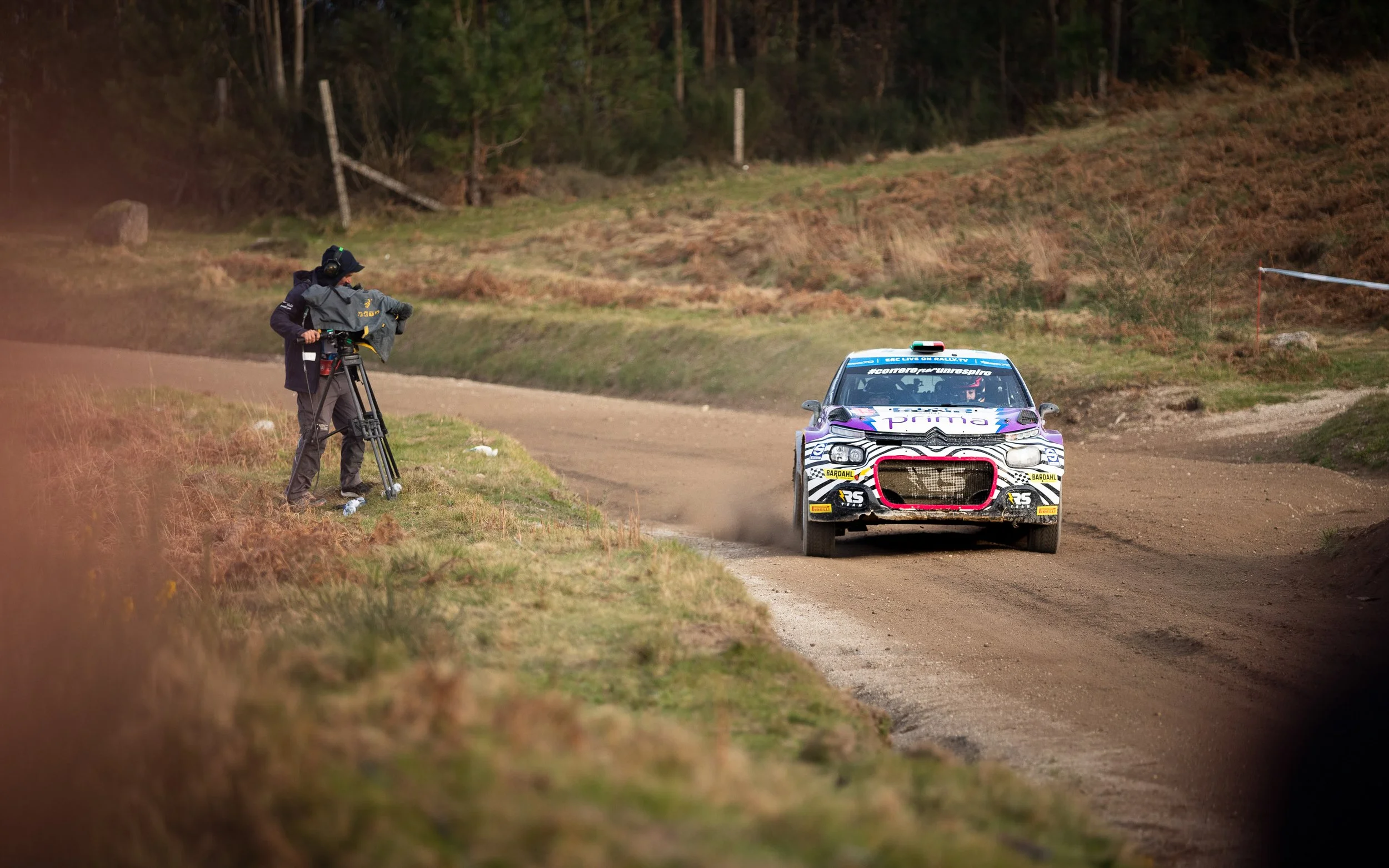 CARS - @helderophoto -61.jpg