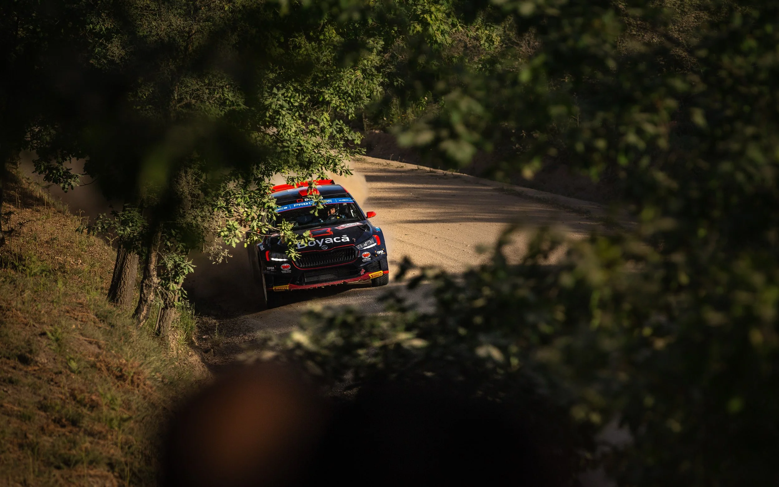 CARS - @helderophoto -58.jpg