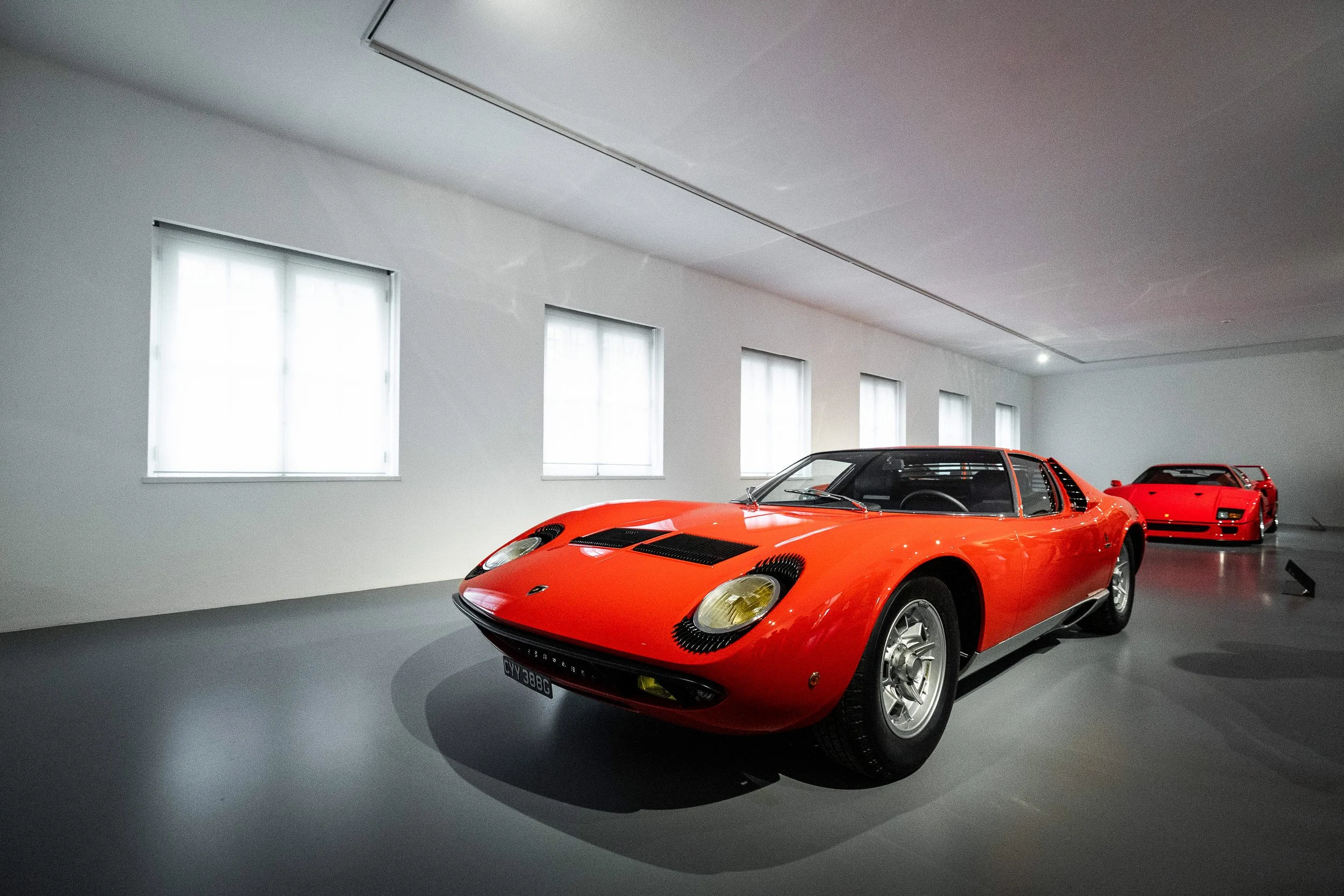CARS - @helderophoto -29.jpg