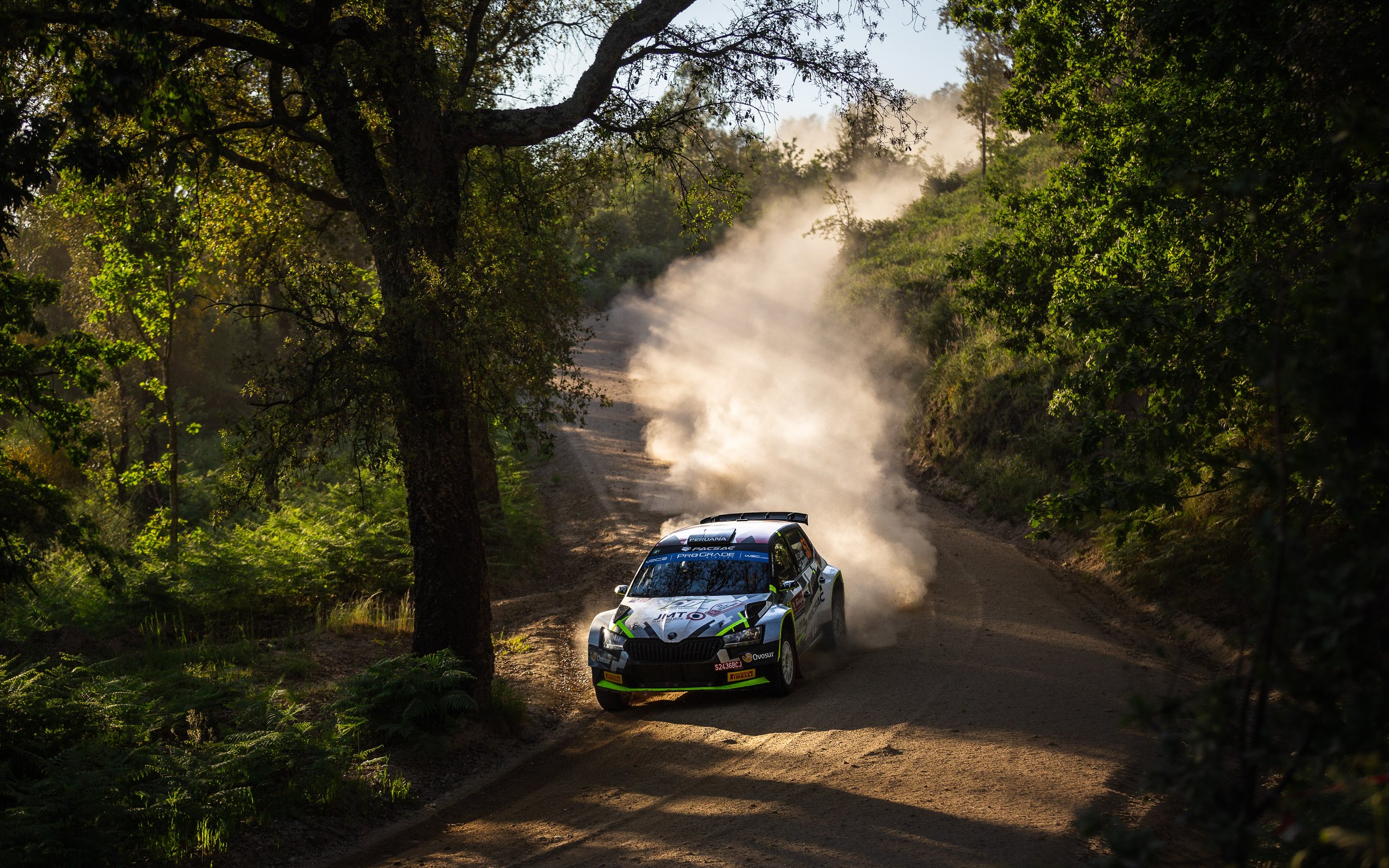 CARS - @helderophoto -56.jpg