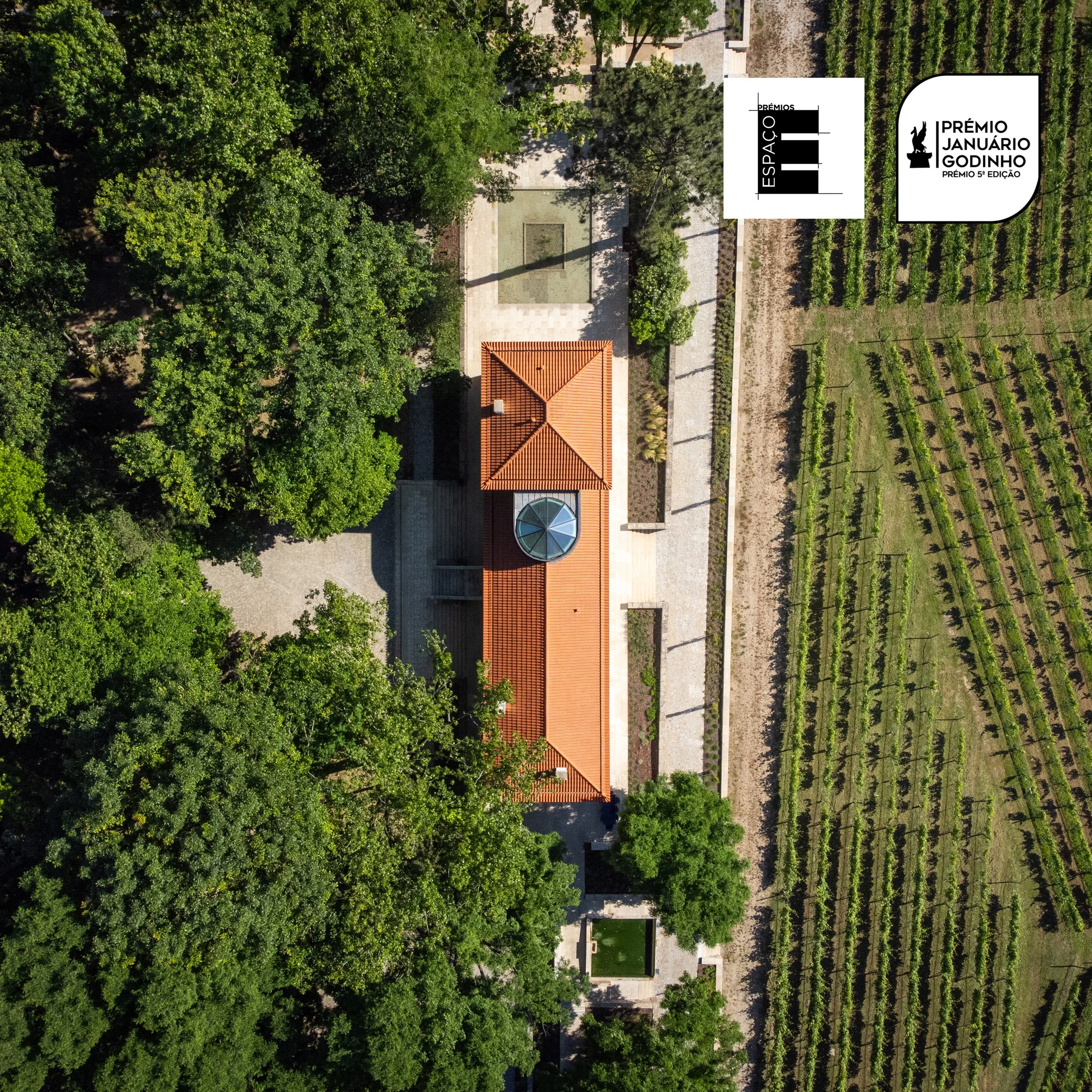 @helderophoto -4.jpg