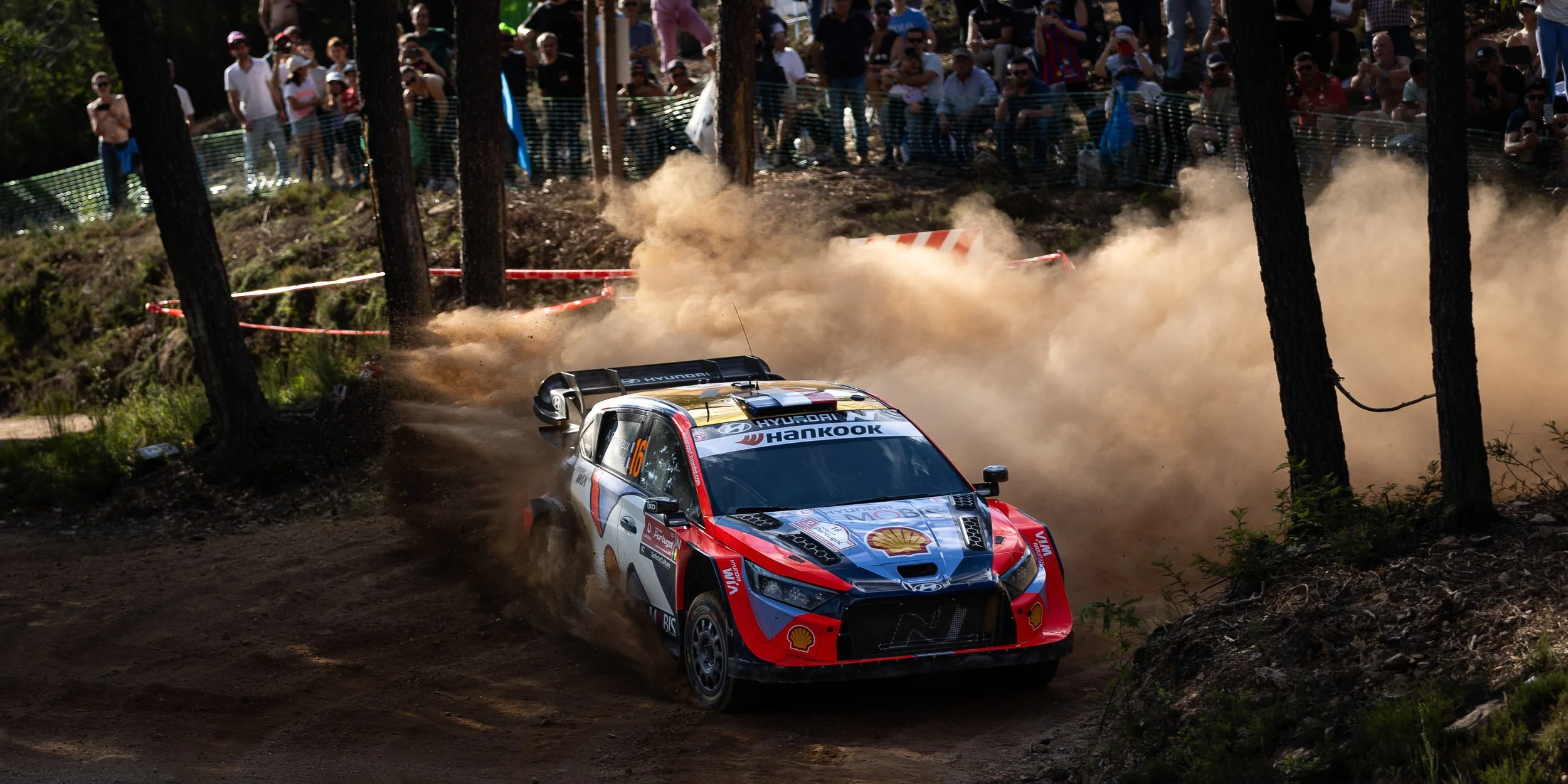 CARS - @helderophoto -22.jpg
