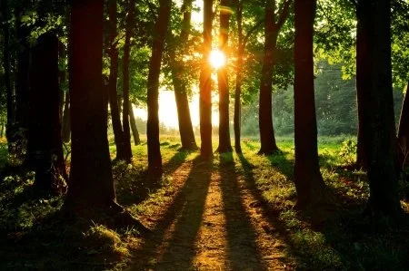 Saying "Yes" when you mean "No"? Reclaim Your Sun