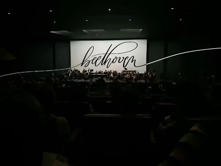 Beethoven!
Da época que a gente ia ao Cine Brasilia para assistir à Orquestra Sinfônica do Teatro Nacional Claudio Santoro.
.
.
.
.
#ipadprocreate #ipadlettering #lettering #handlettering #ipadart #digitalart