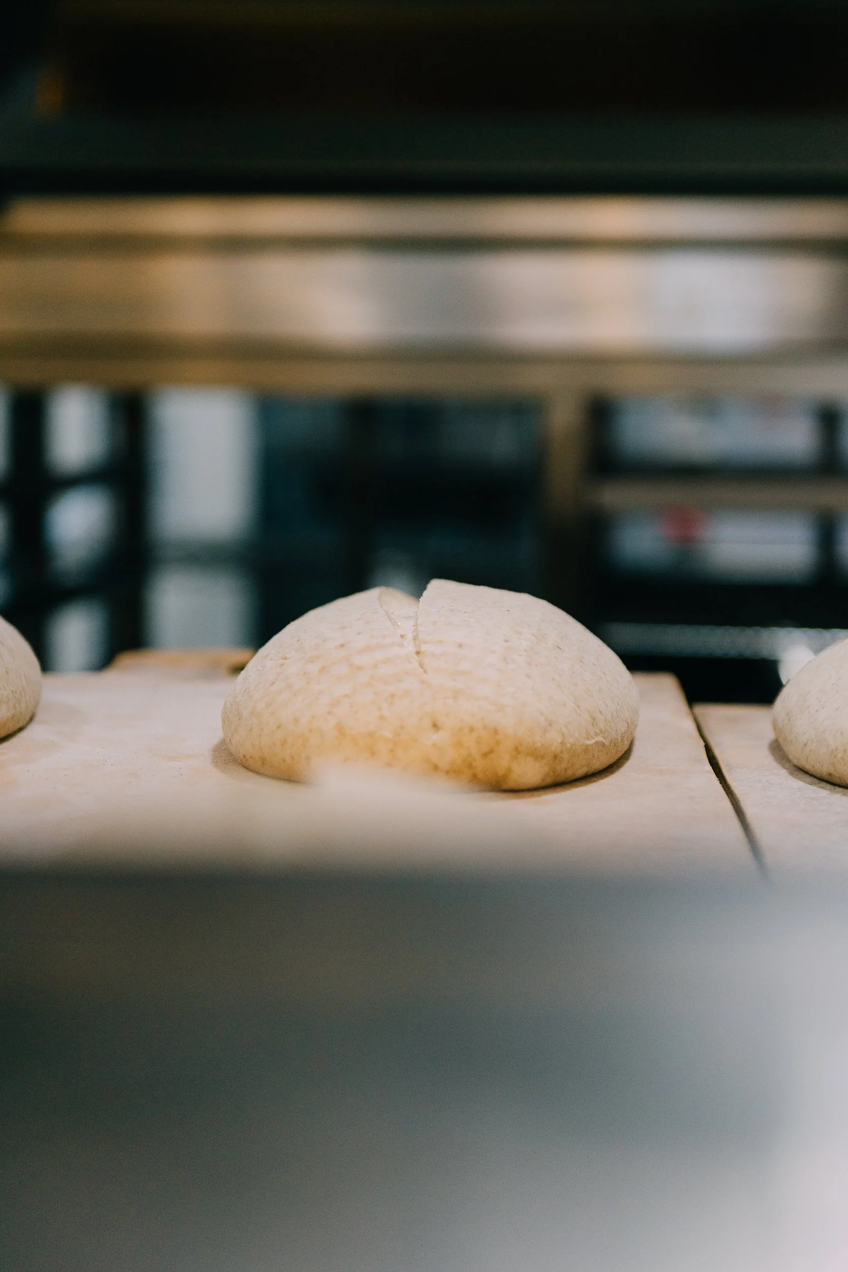 Jaunty Goat 080824-1143.jpg