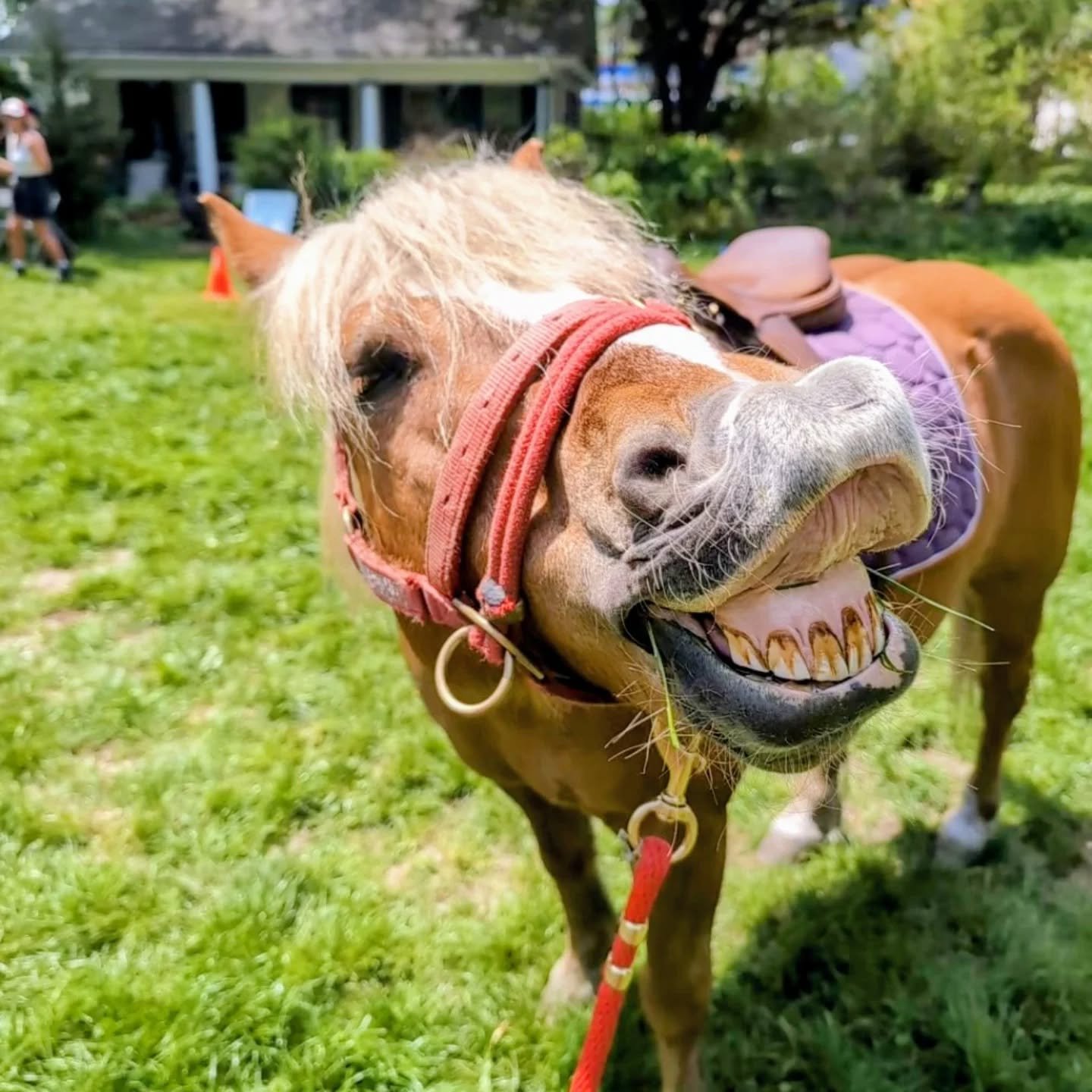 Even Charlie was smiling today! 😁 😁