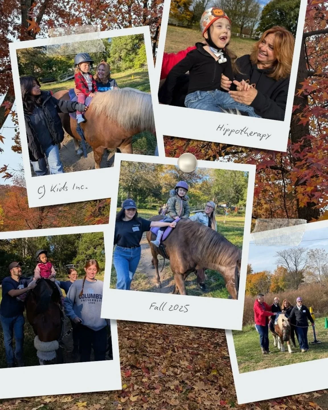 A short but sweet fall term of Hippotherapy at CJ Kids! 🍂🐴🍂

Thank you to our incredible volunteers, interns, corporate groups, therapists, and our superstar horses - Clover, Charlie, Champ, Grace &amp; Sadie!

And to our riders and their families