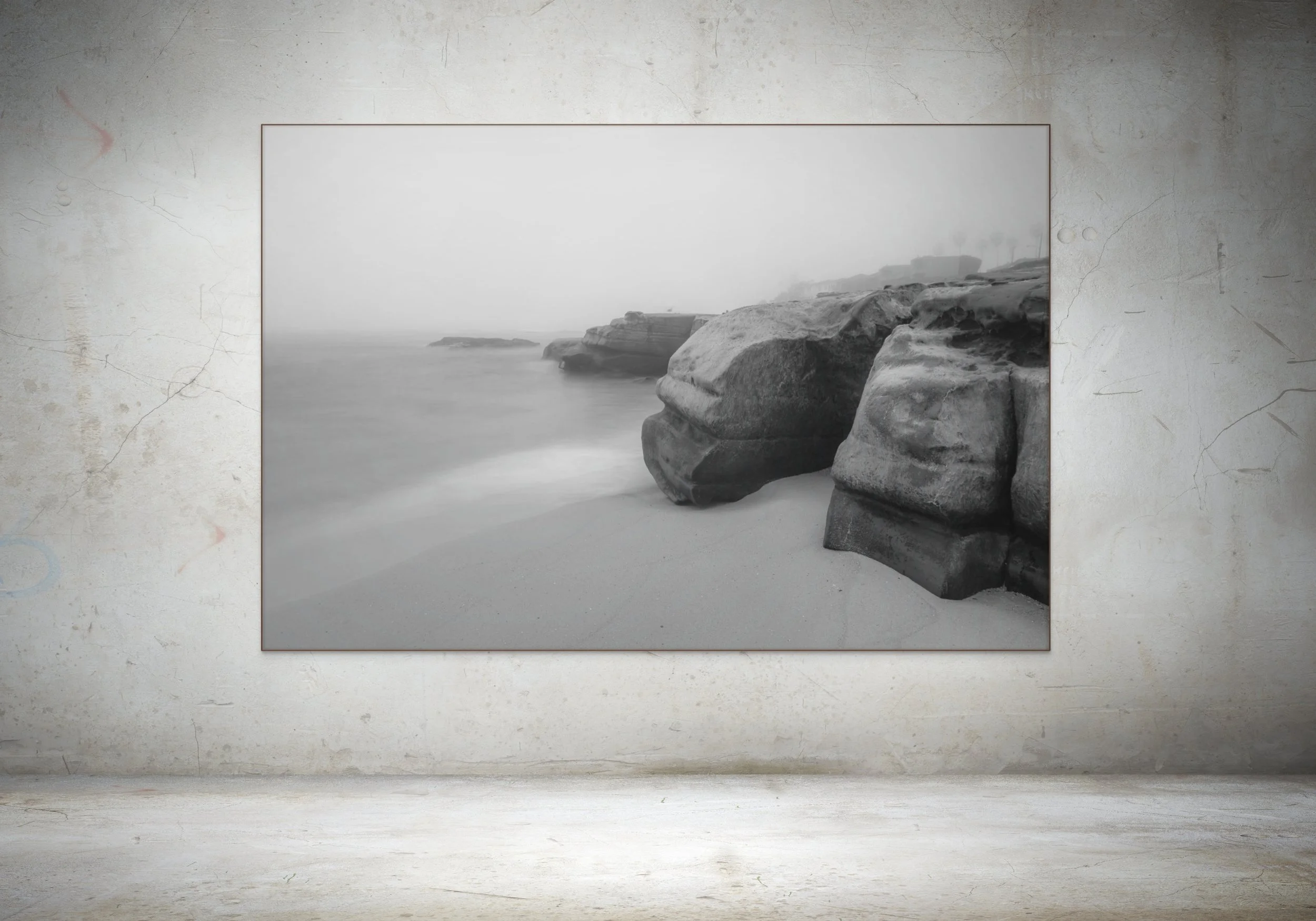 san diego jan-feb-02875-full.jpg