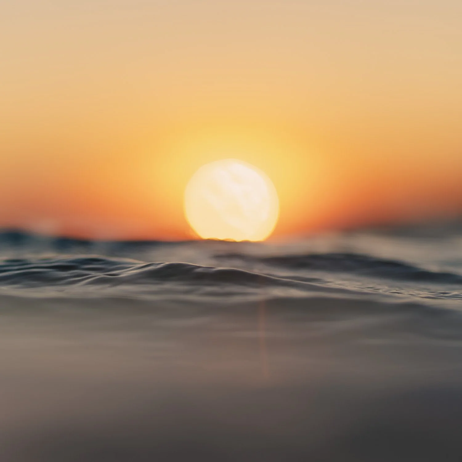 Field 2 Night Shots-01064.jpg