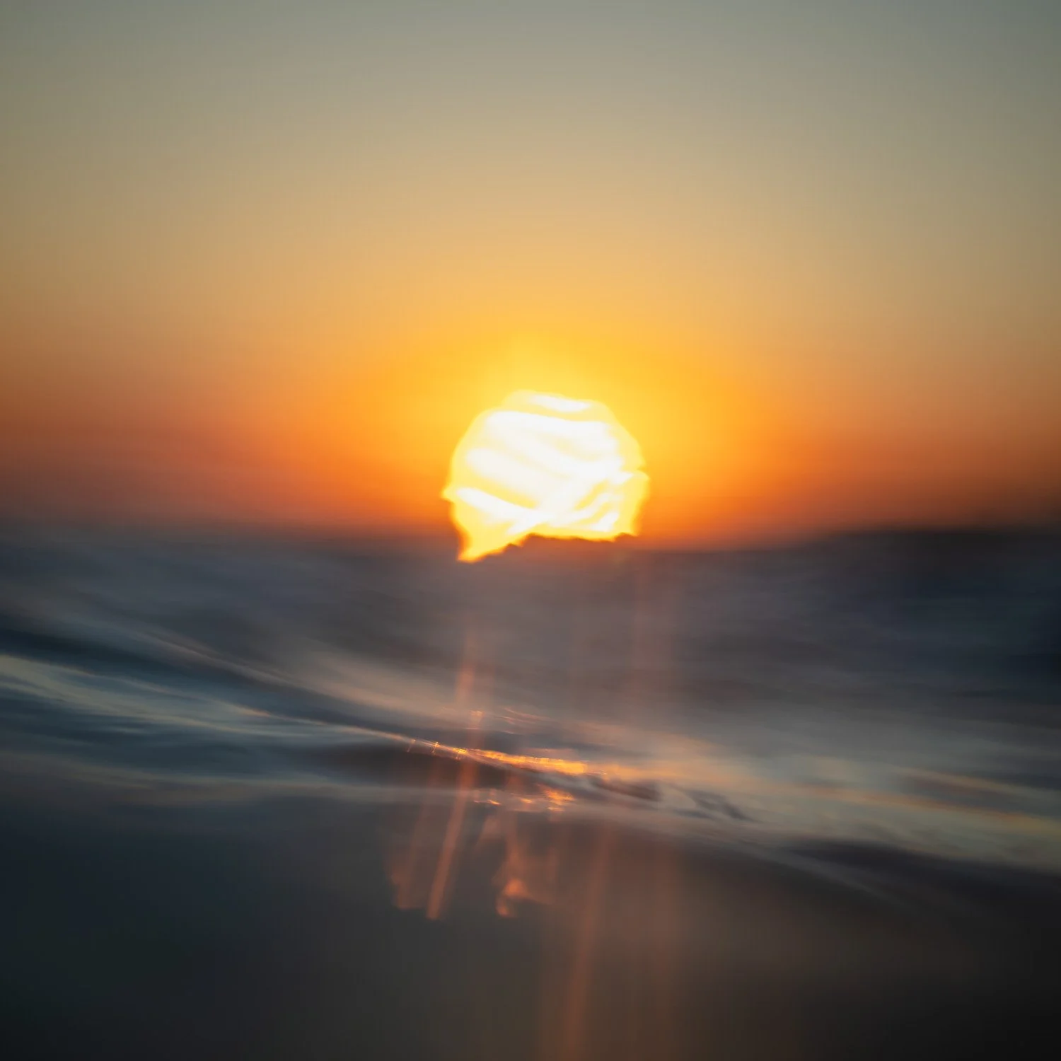 Field 2 Night Shots-01049.jpg