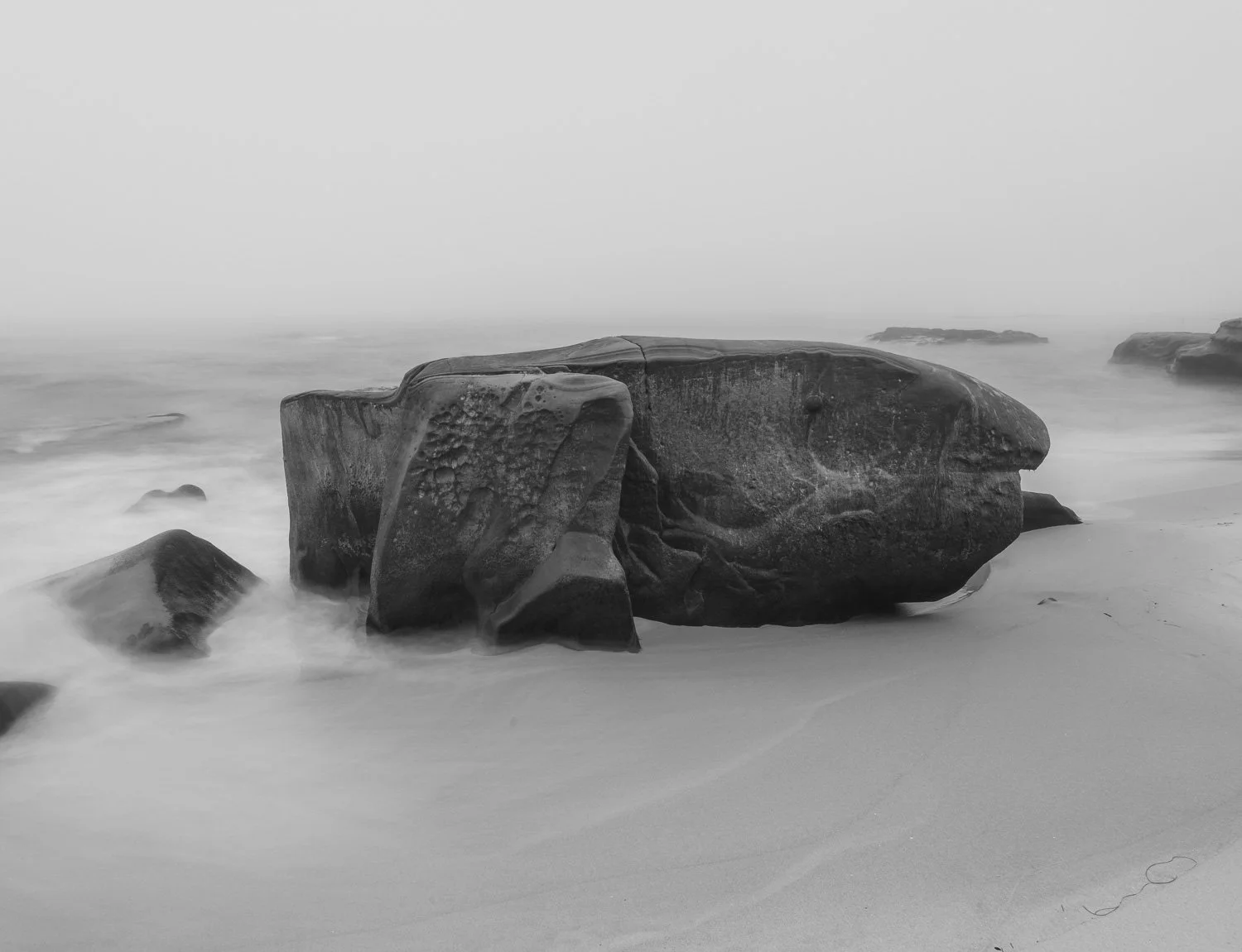 San Diego Jan-Feb-02874.jpg