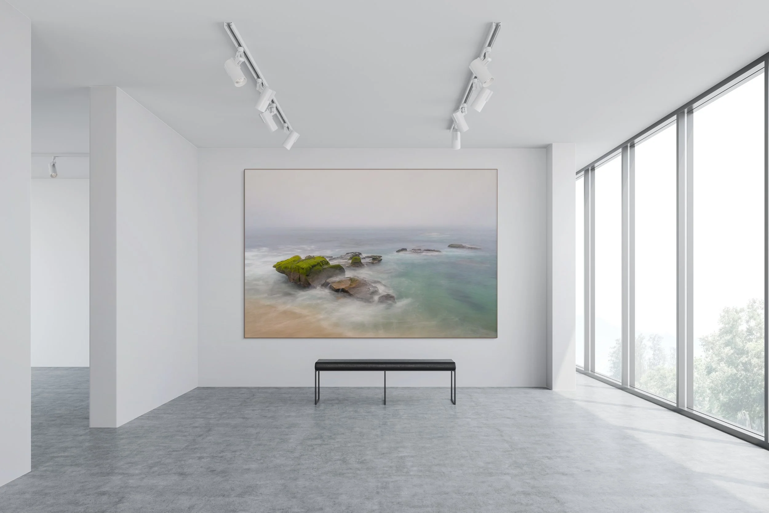 san diego jan-feb-02899-full.jpg