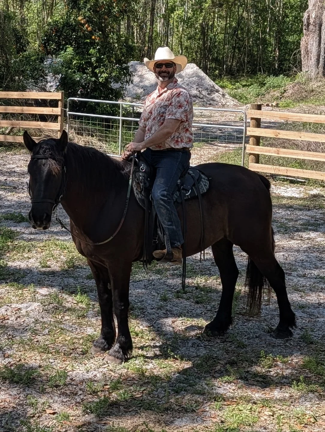 Horseback ranch work at Collins Cattle & Grove.