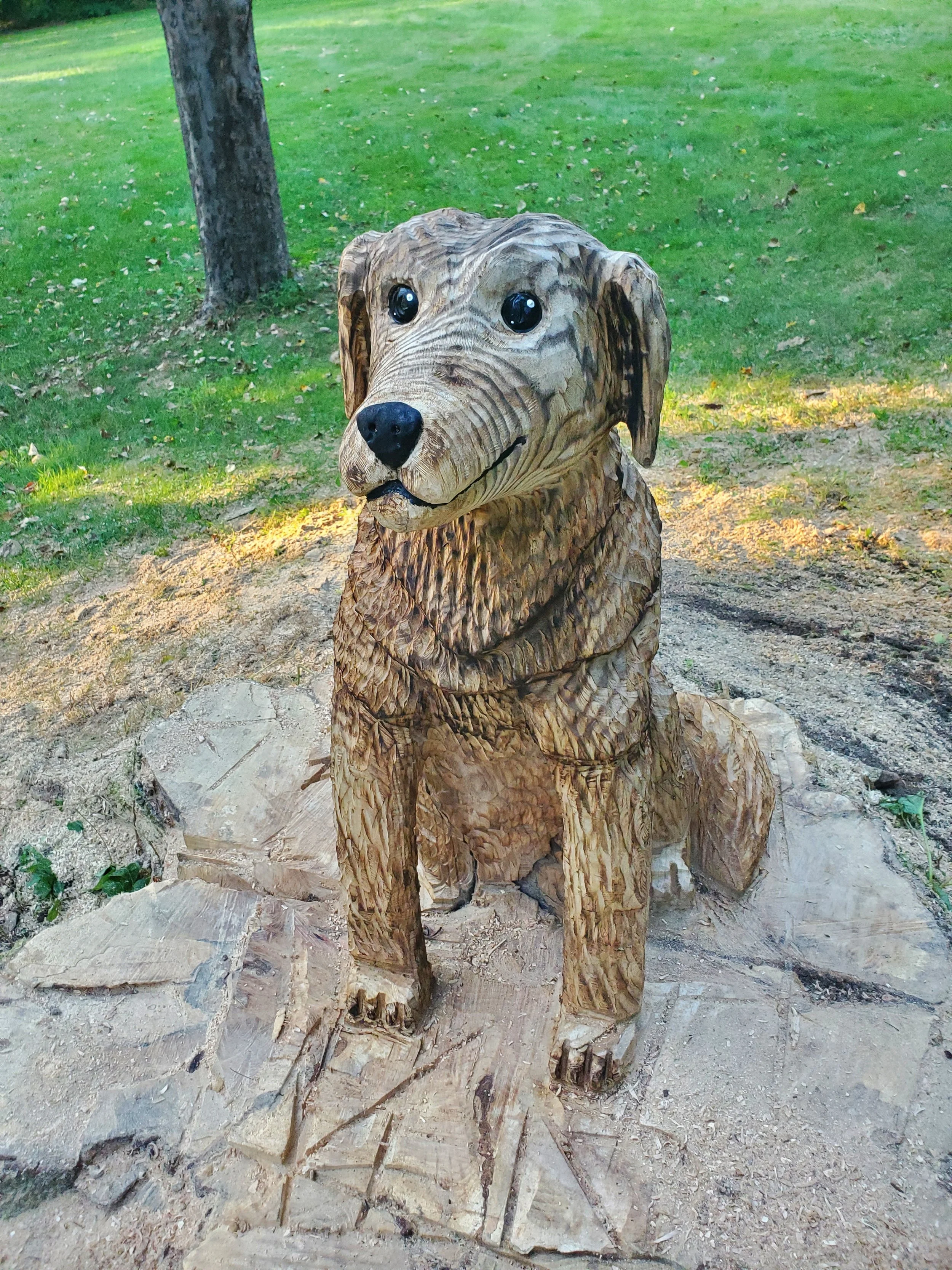 20250802_184549.jpg