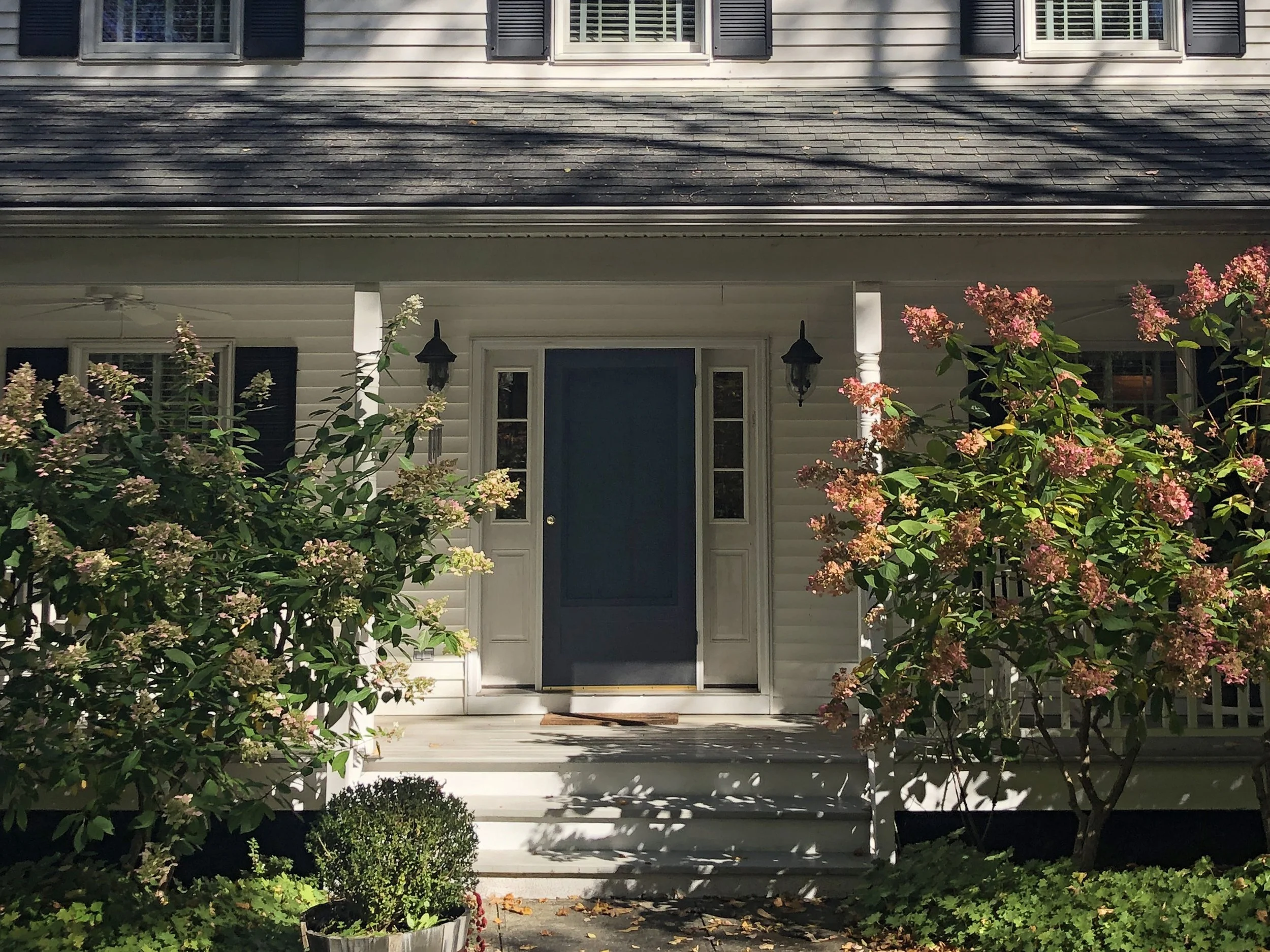 Before: The entry lacked presence, with a solid front door and overgrown landscaping that left the foyer feeling closed off and dark.