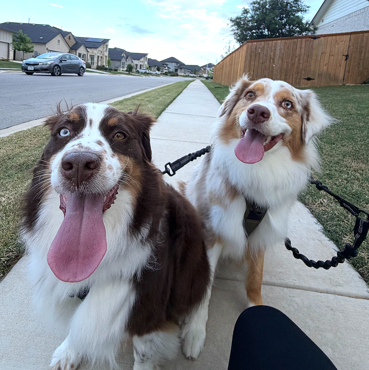 Roux & Sully 🩷🩵