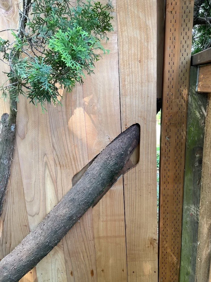 Custom Fence slats Around tree limb in Tigard OR