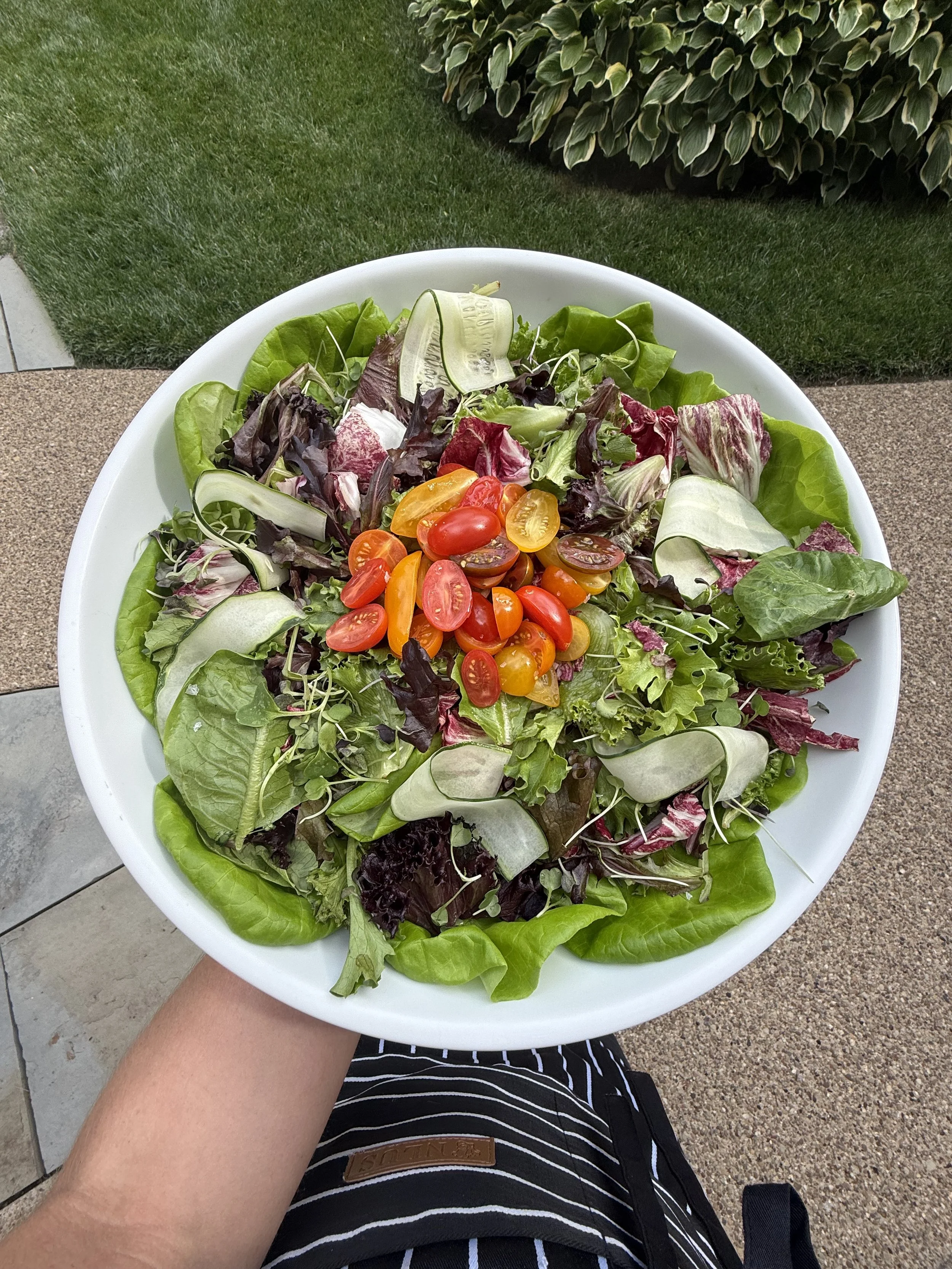 Seasonal Salad