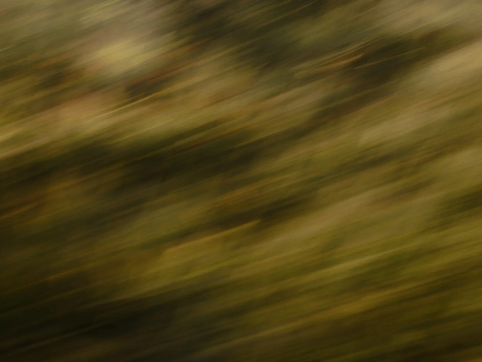Stills_Disconnected_2.jpg