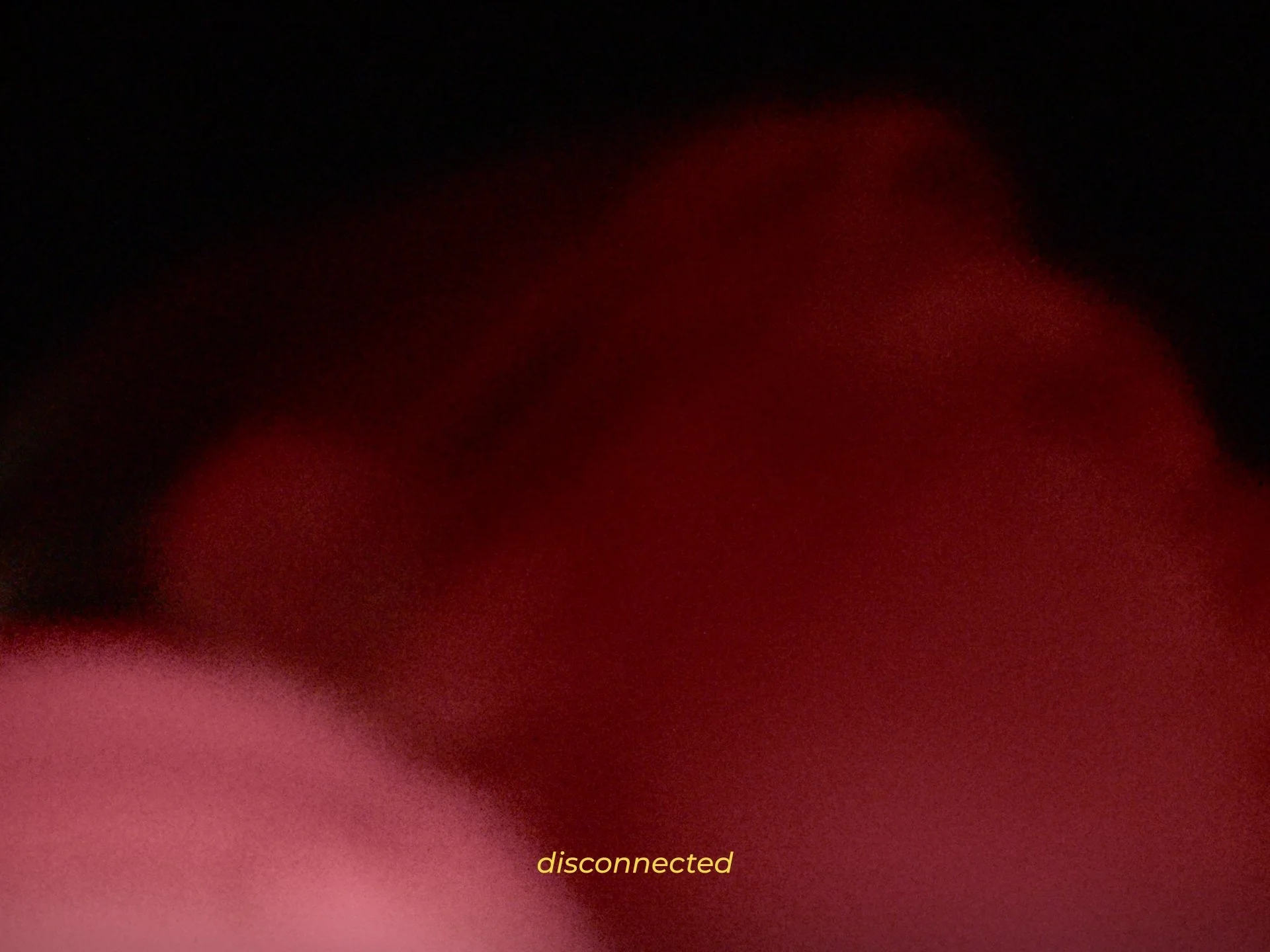 Stills_Disconnected_16.jpg