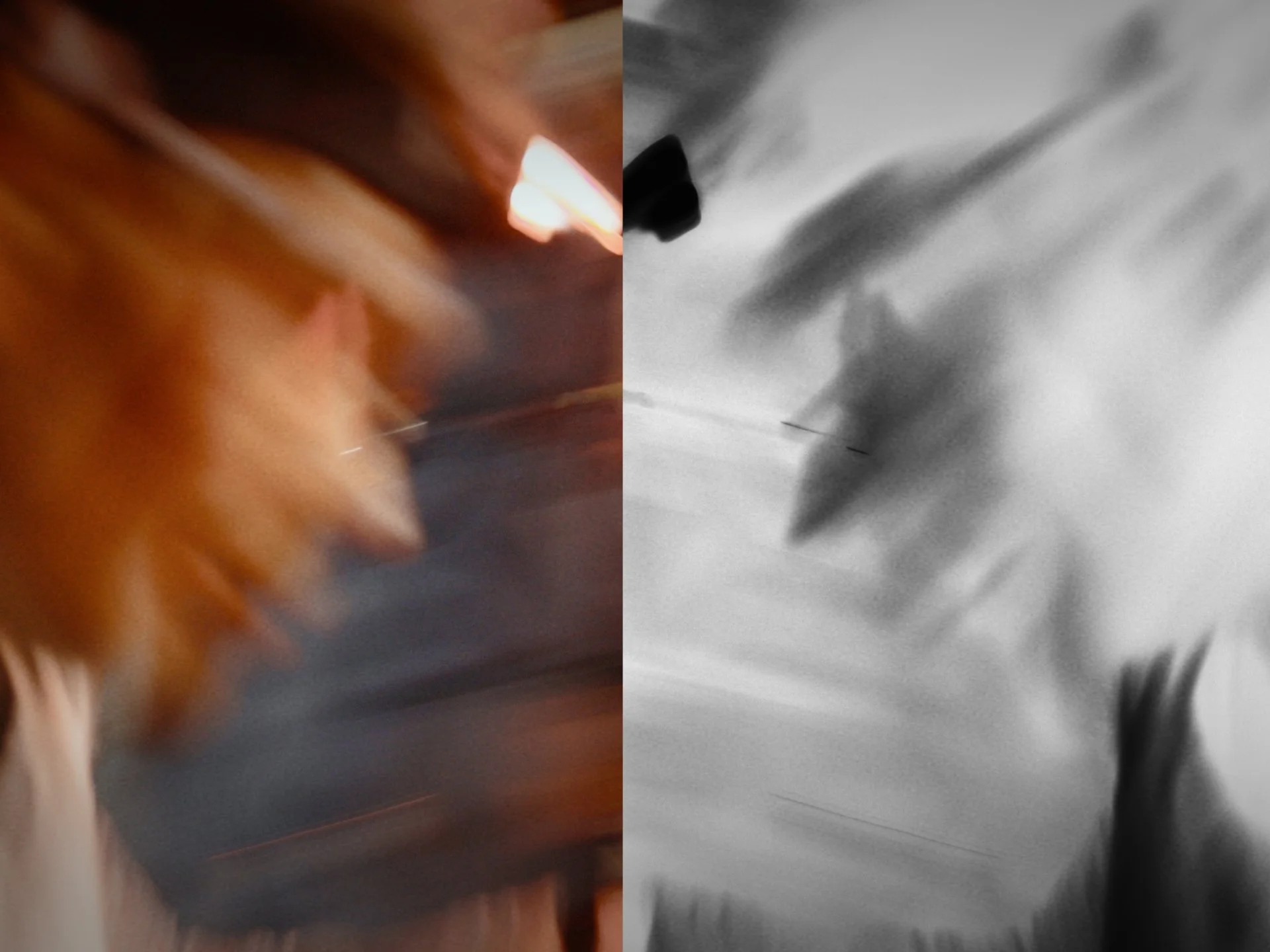 Stills_Disconnected_14.jpg