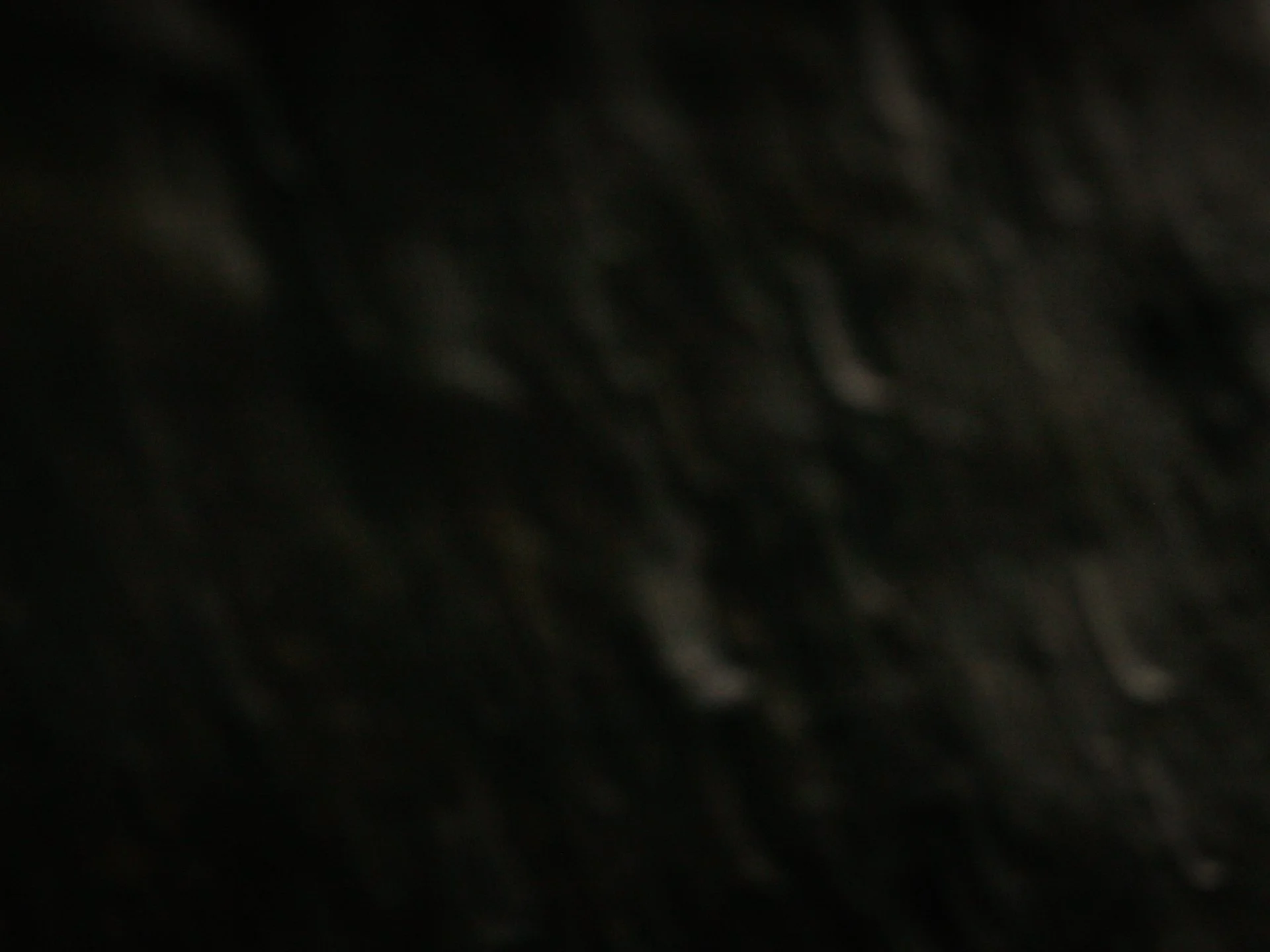 Stills_Disconnected_13.jpg