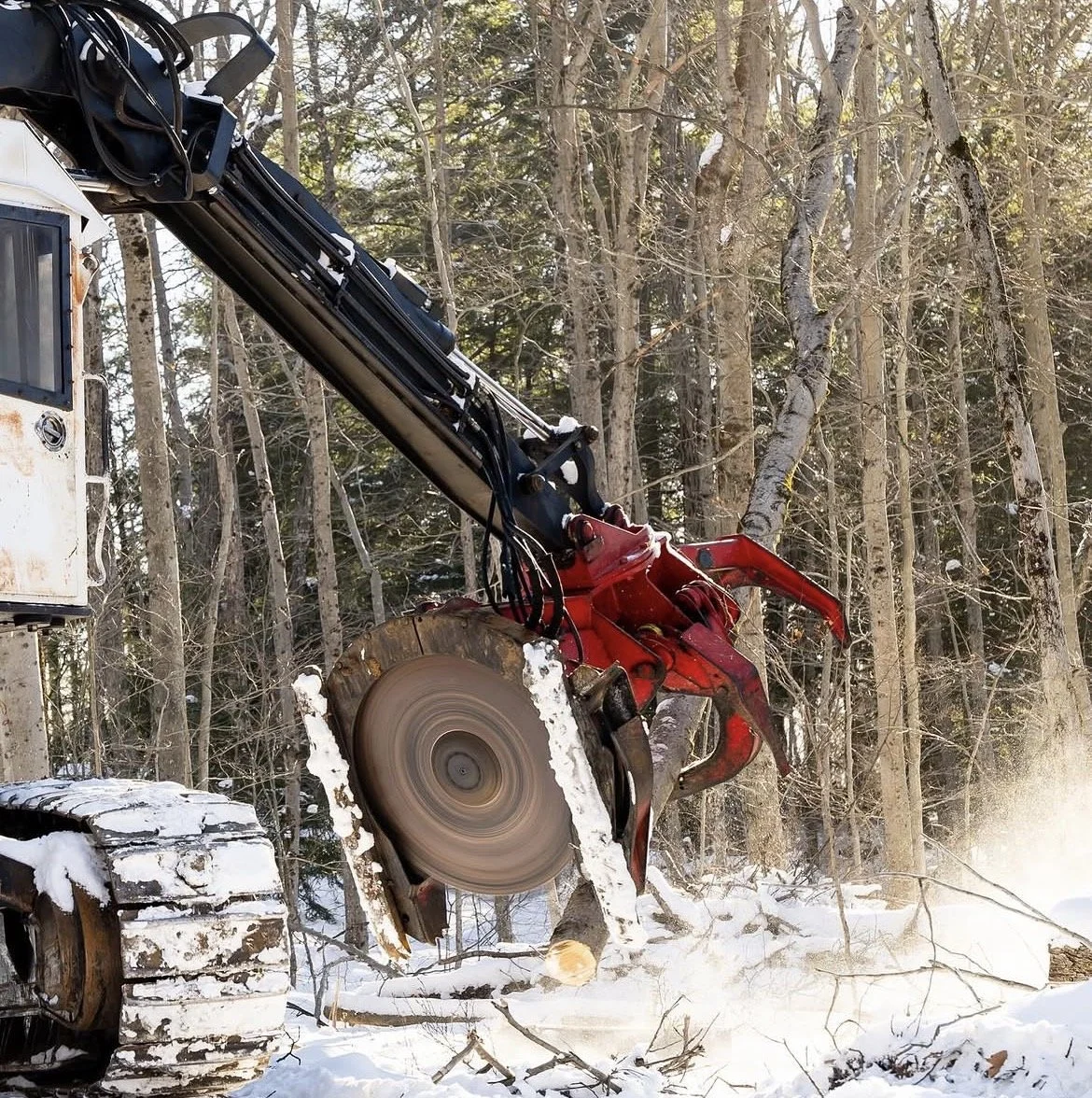 A large piece of heavy machinery with a circular saw blade, cutting through a fallen tree in a snowy forest.