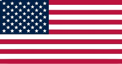 A distorted version of the American flag with wavy stripes and uneven colors.