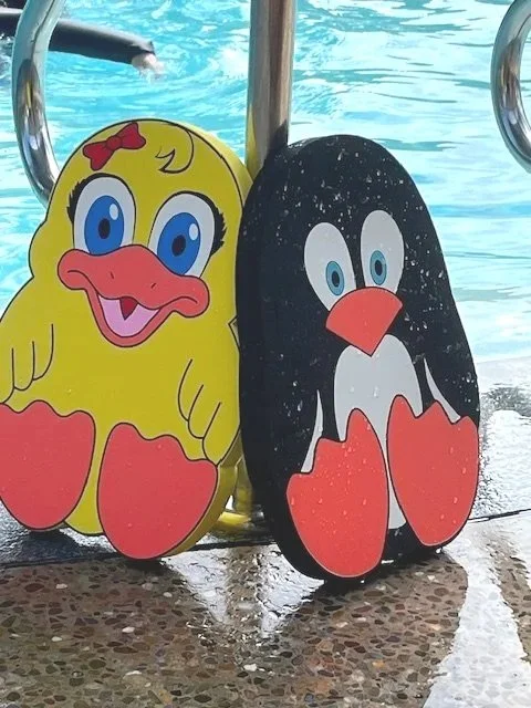 Why Packo &amp; Daisy Kickboards and Mesh Swim Bags Are Game‑Changers for Young Swimmers