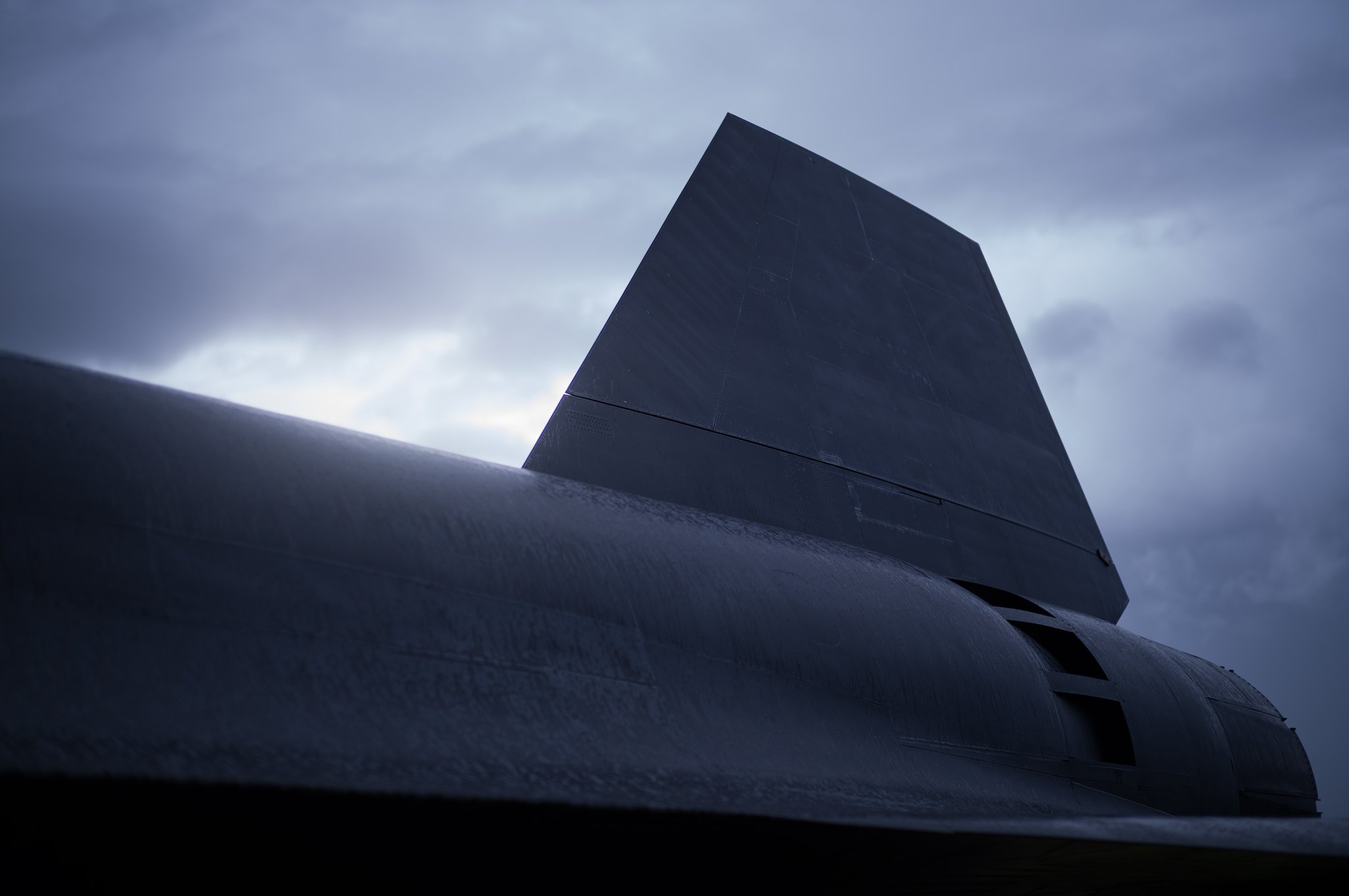 L1003566.jpg