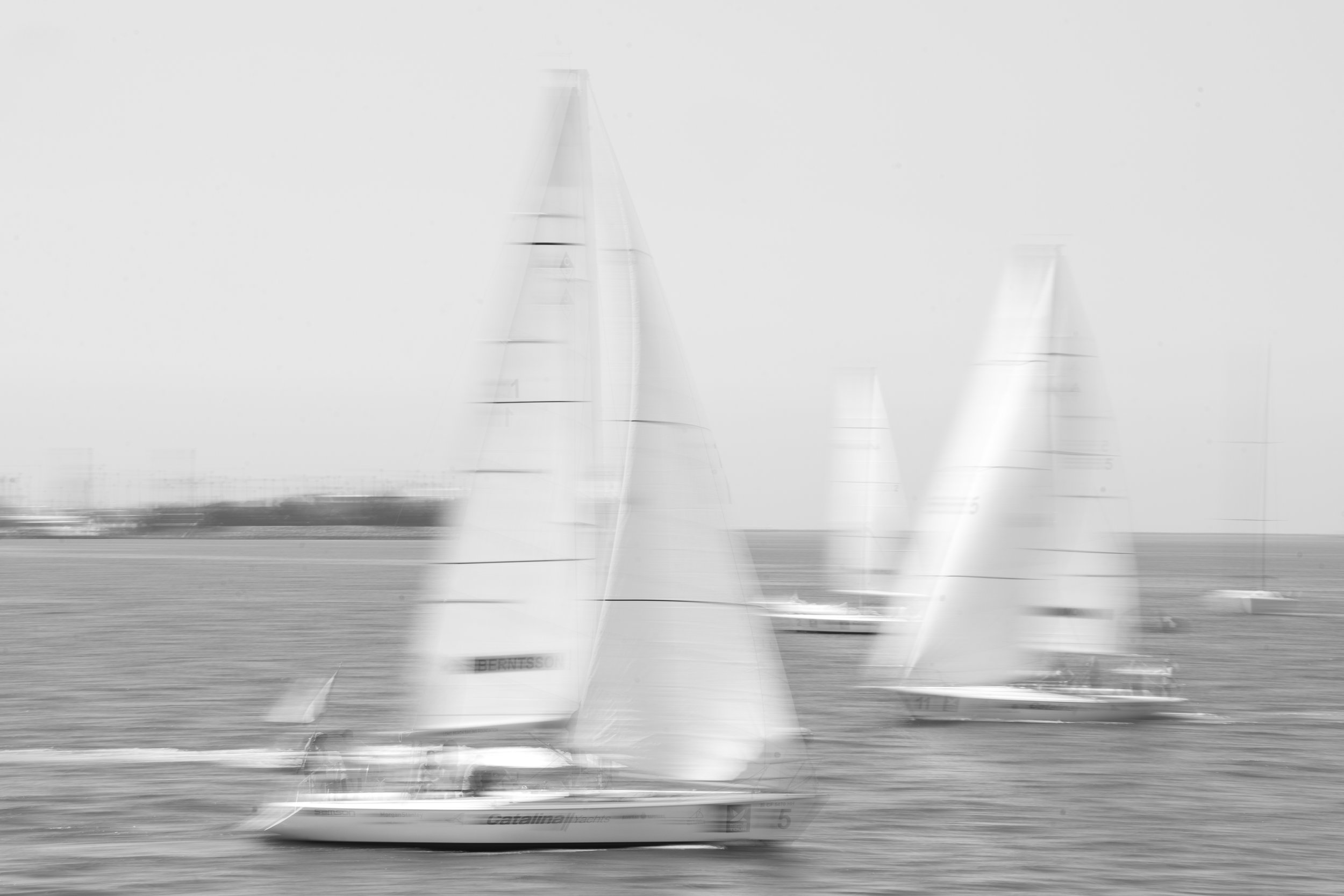 DSC07479.jpg
