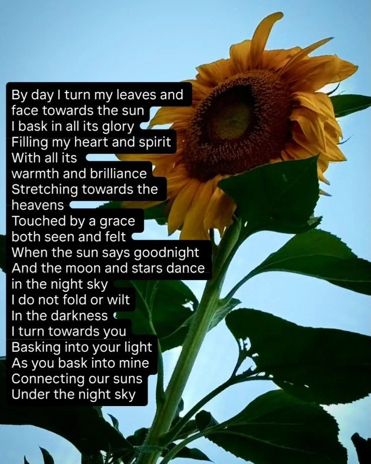 Got inspired to write this poem after learning about sunflowers - such a beautiful story - love this flower in all its brightness. Don&rsquo;t you just perk up when you see them 🥰