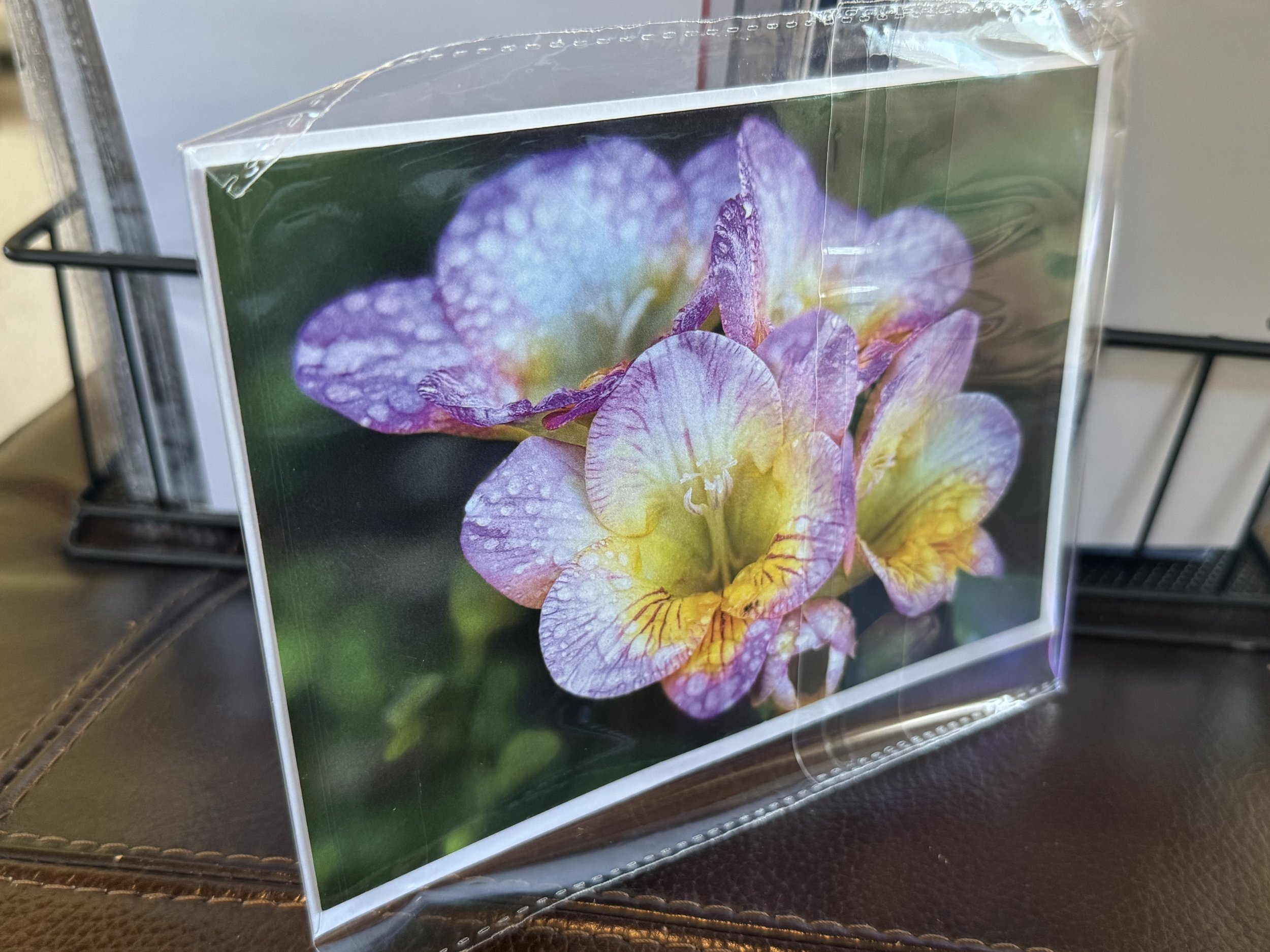 Pink and Yellow Bloom 5x7 Postcard